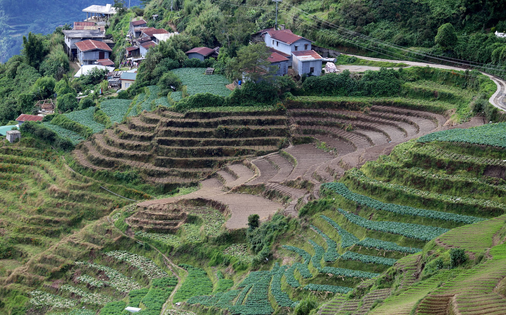 Houses near rice terraces in Buguias, Benguet