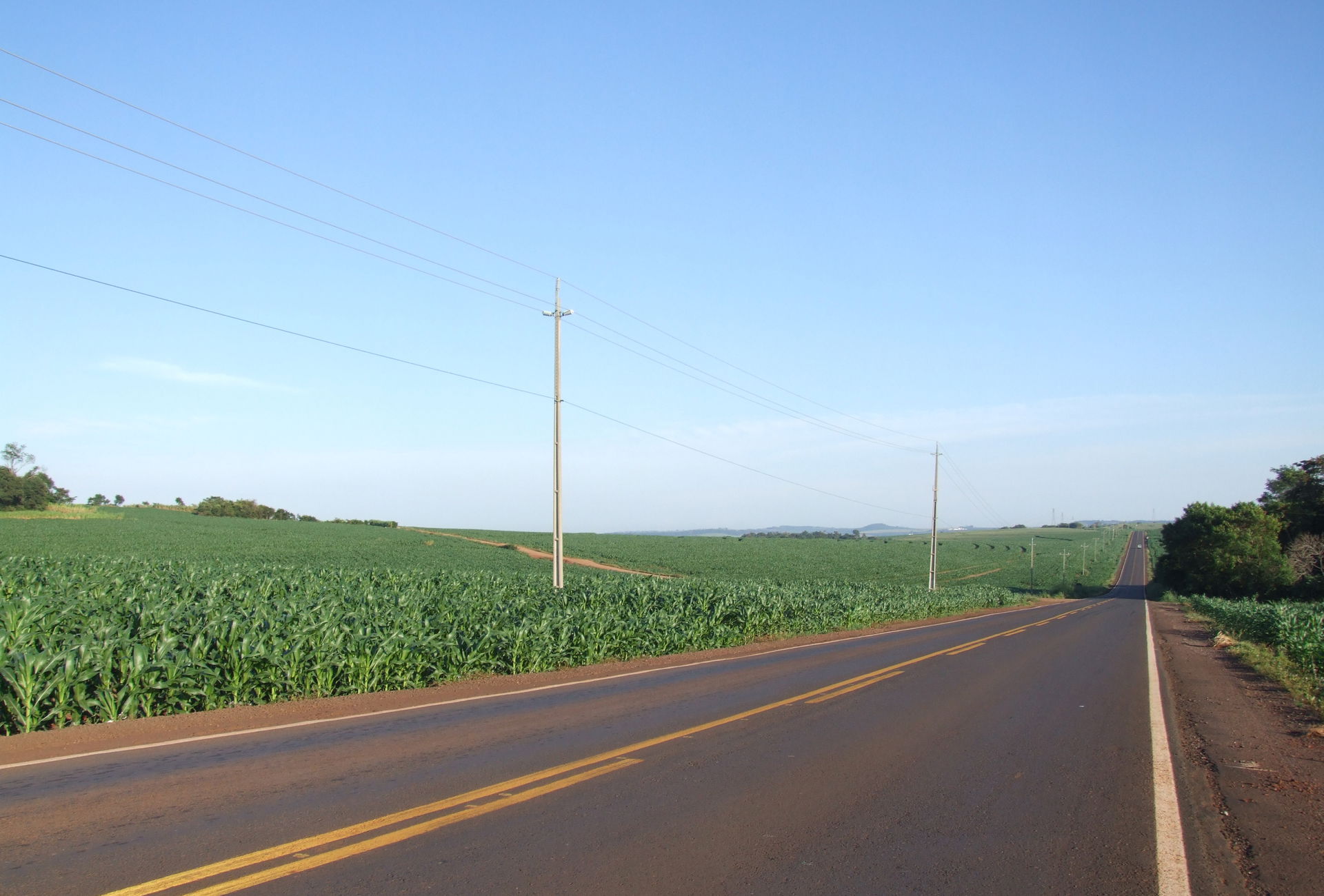 Road PR-495, between Medianeira and Missal, in the Brazilian st…