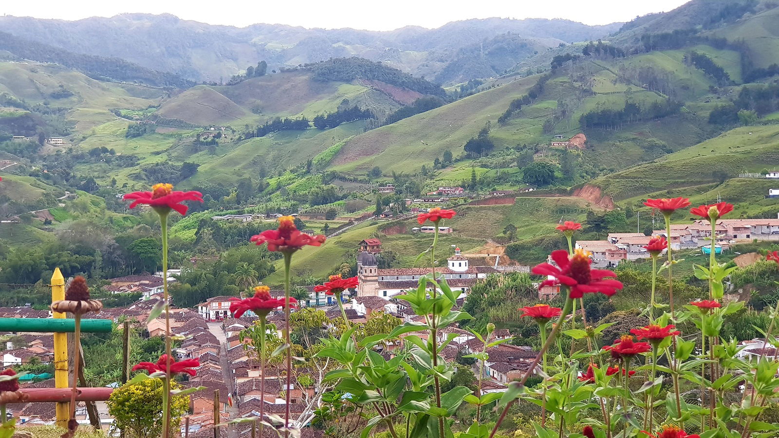 View of Concepcion
