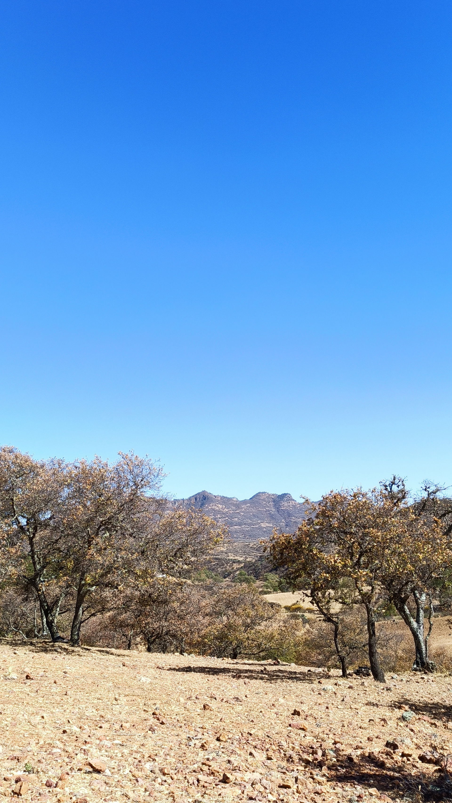 Paisaje de Dolores Hidalgo, Guanajuato, México. Desde las falda…
