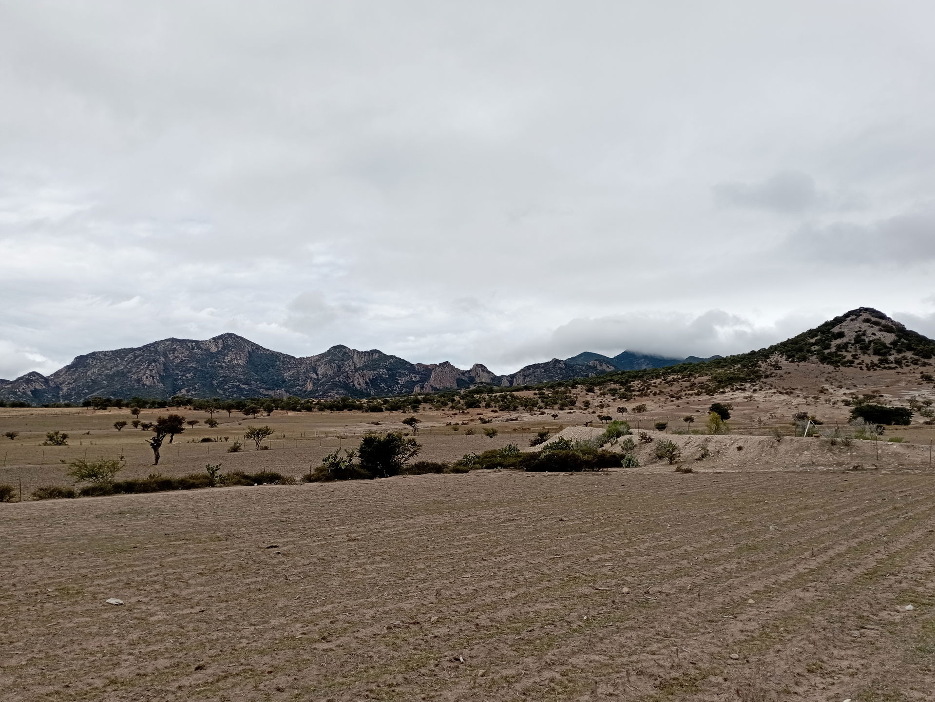 Paisaje de Rincón del Estaño en el municipio de Dolores Hidalgo…