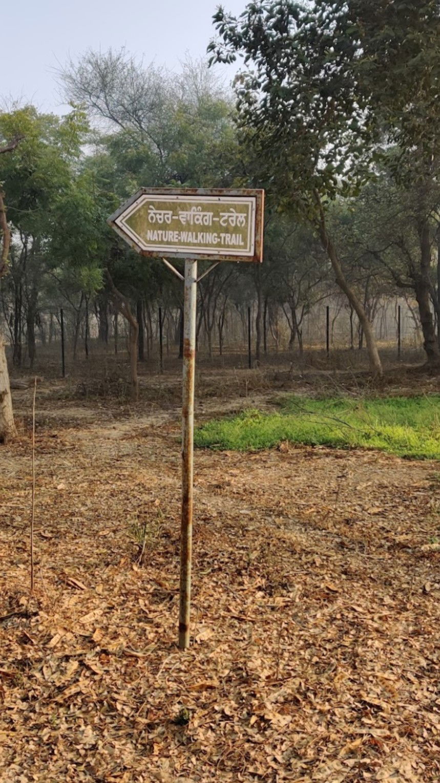 Signboard directing towards Walking Trail in Bir Dyalpura