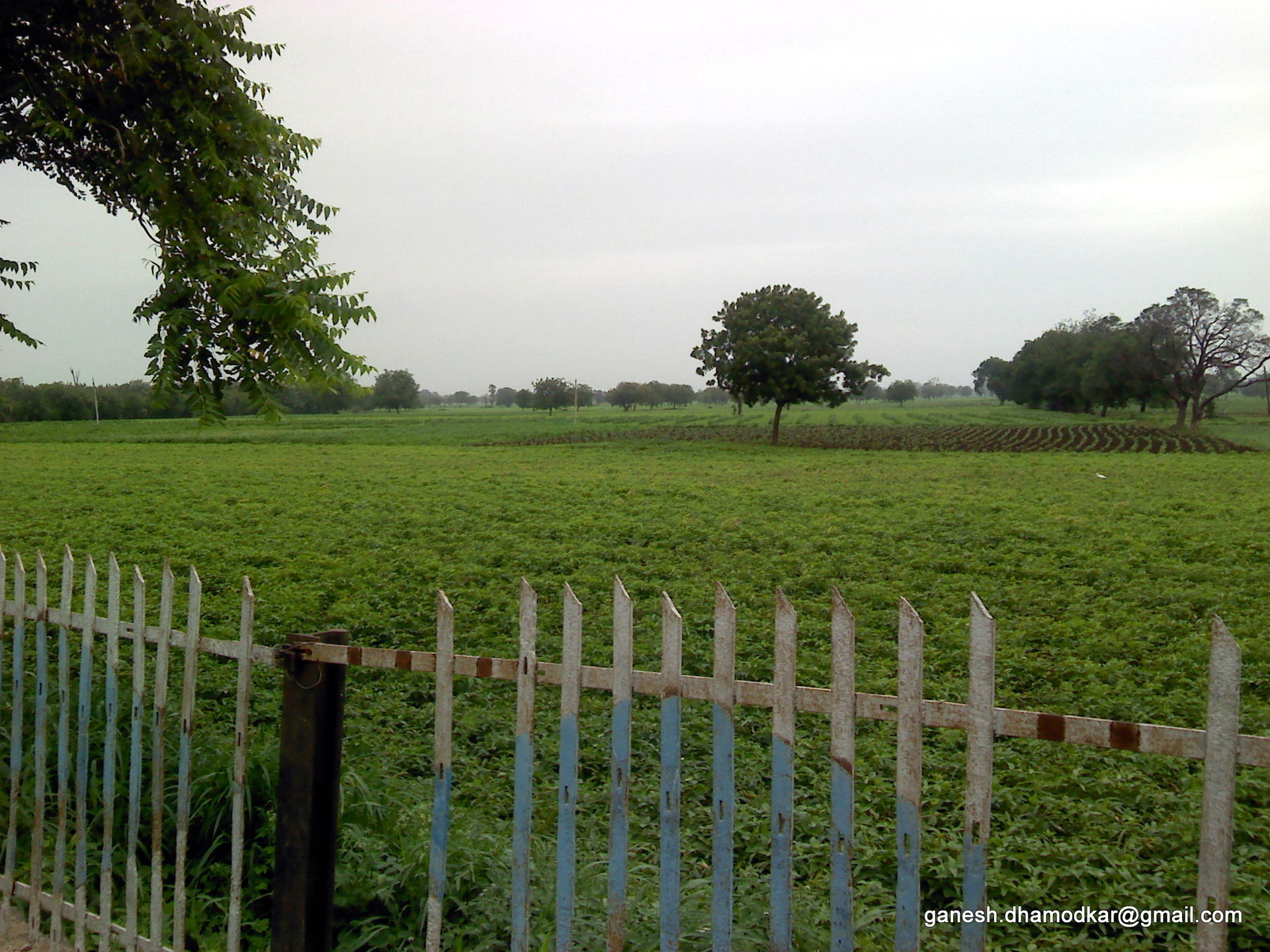Fields beyond Nandura Railway Station