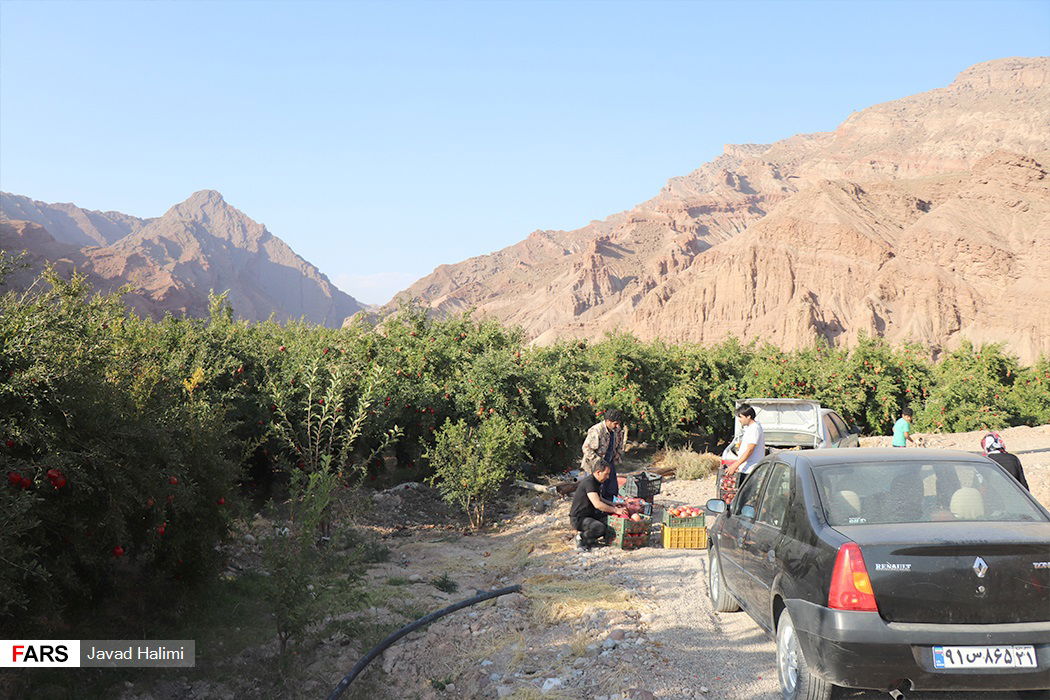 روستای محمودآباد