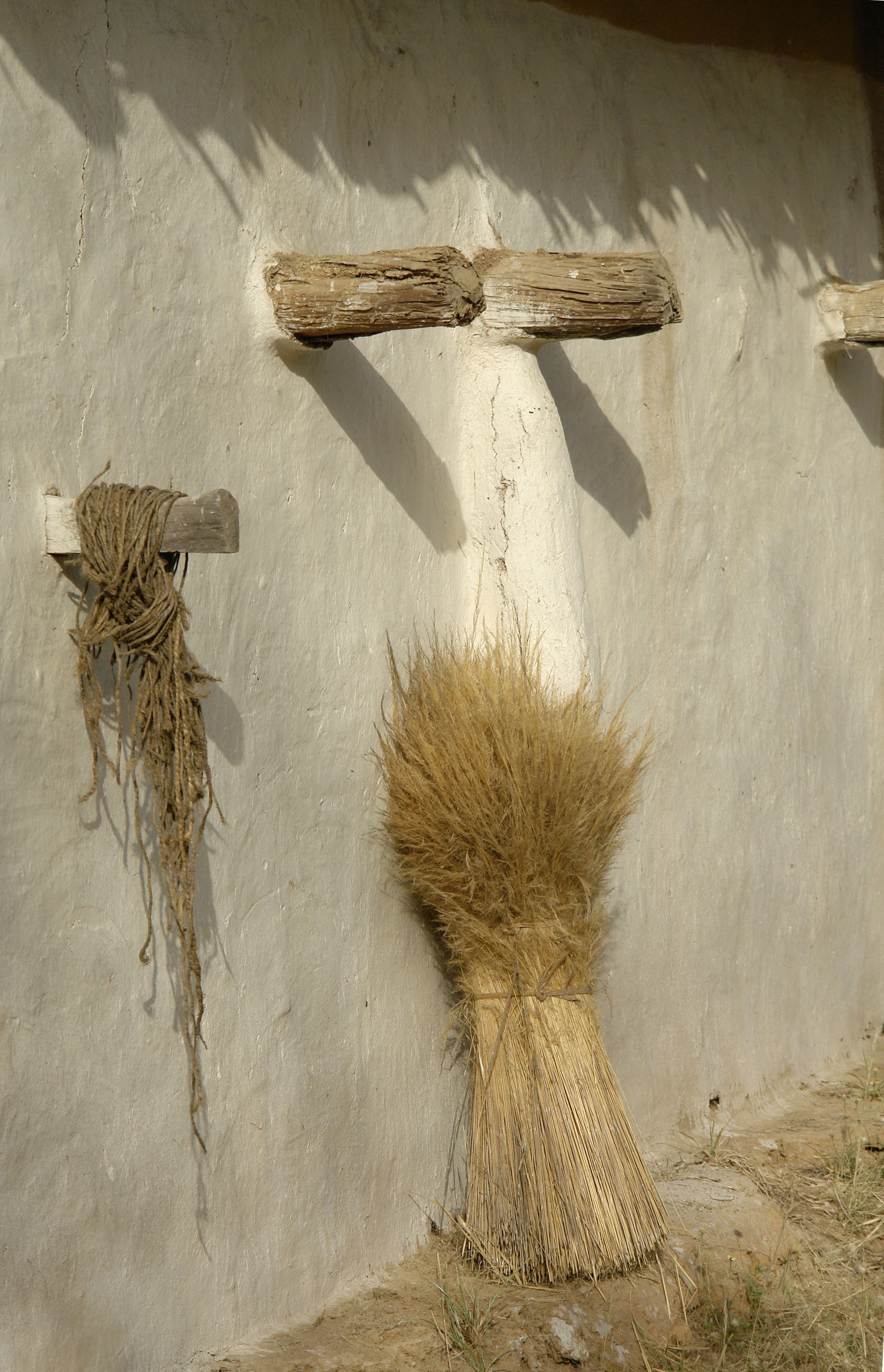 Adobe wall, Umaria district, Madhya Pradesh, India.