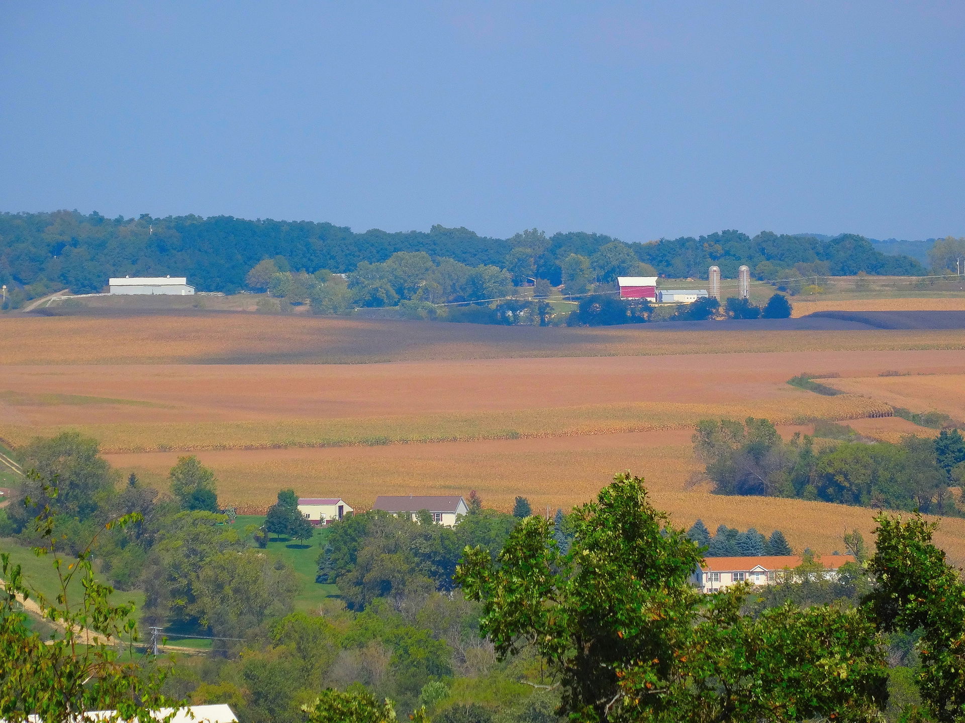 Farmland near Lodi