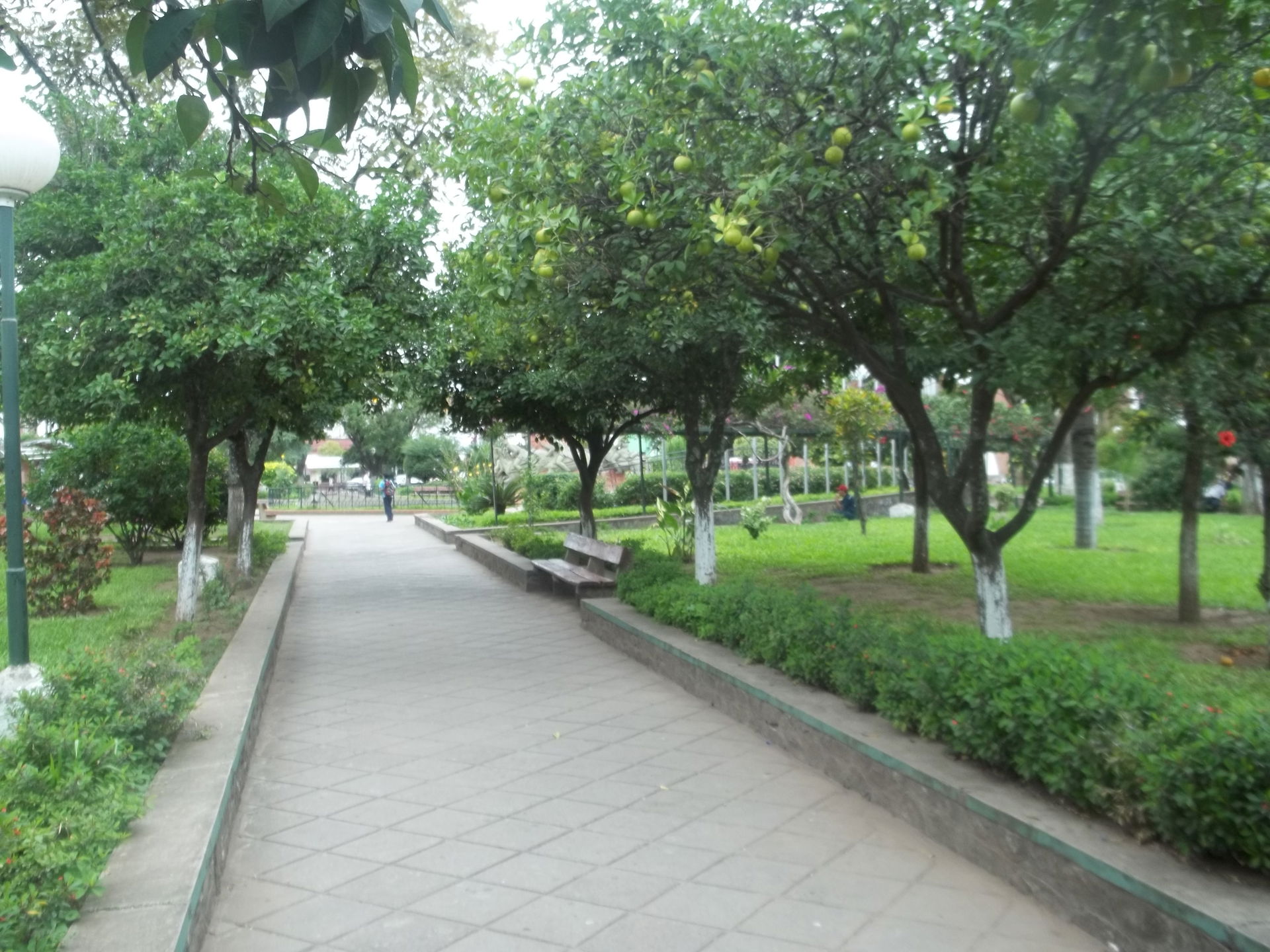 Plaza Libertador General San Martín en el centro de la ciudad h…