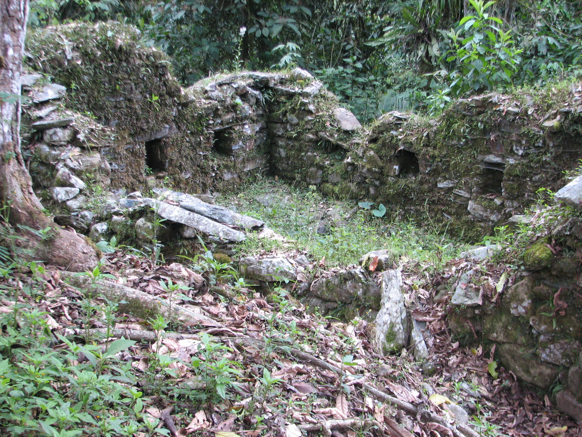 Espiritu Pampa Archaeological site (overgrown house)