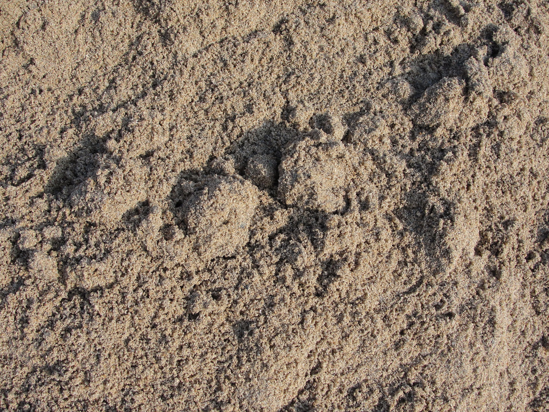 A close-up of river sand