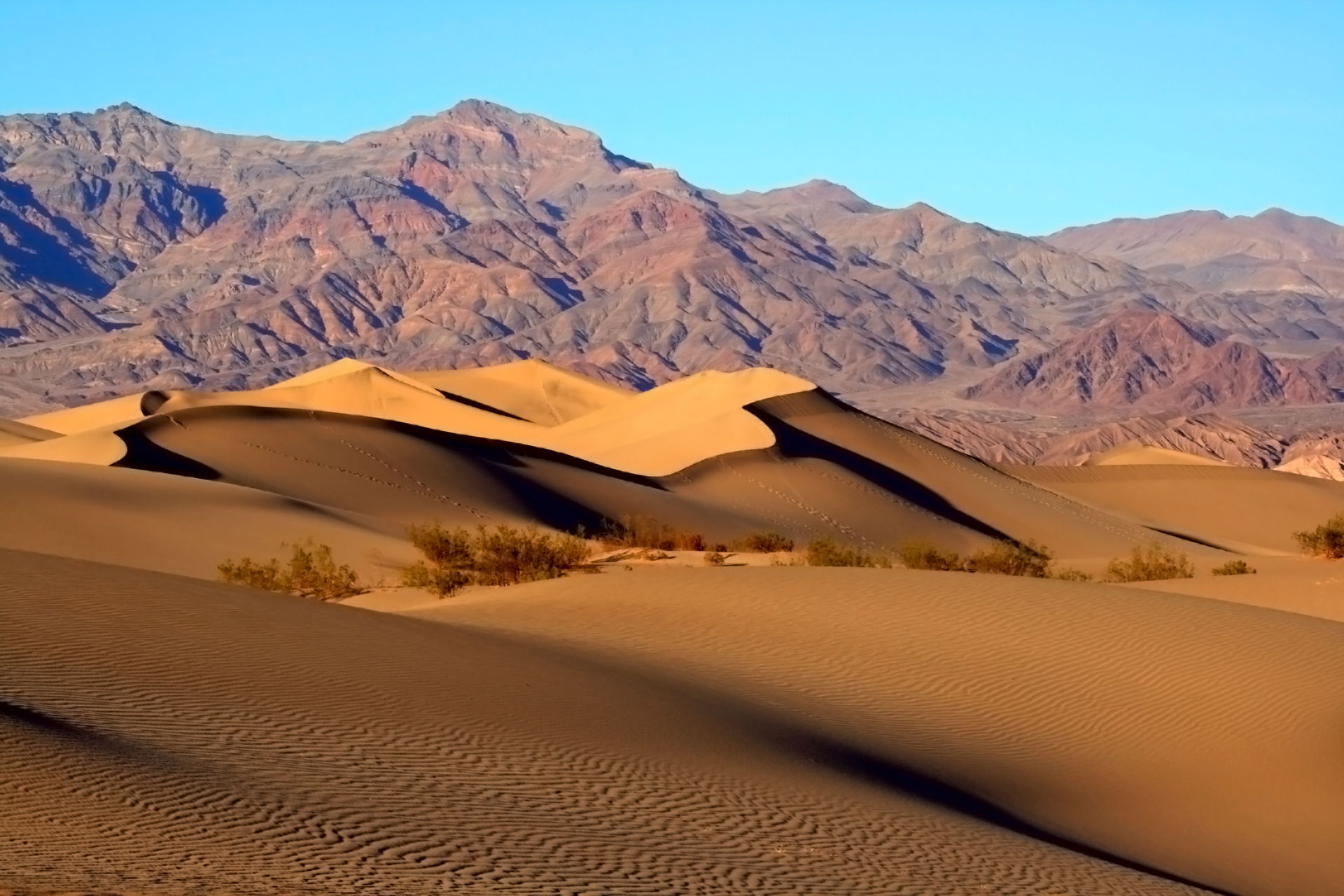 Mesquite Dunes in Death Valley National Park