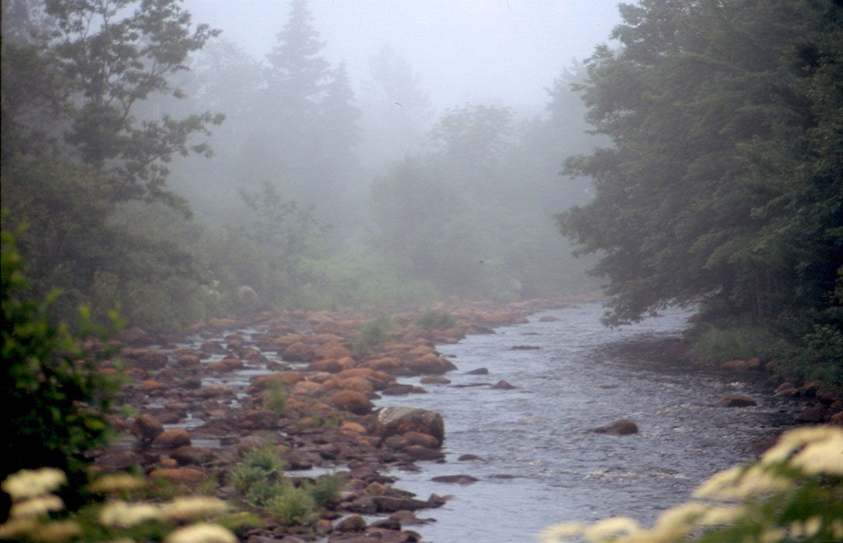 View of the river in Petite Riviere, Nova Scotia, Canada