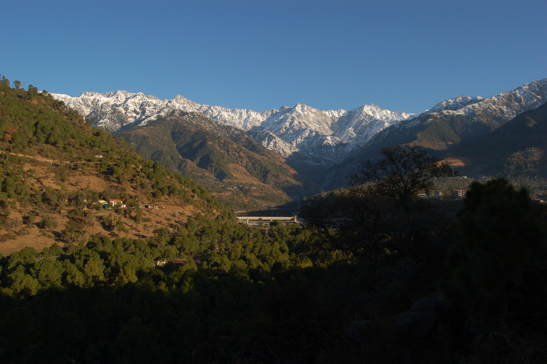 Mountains, trees, land, nature, scenery Himachal Pradesh
