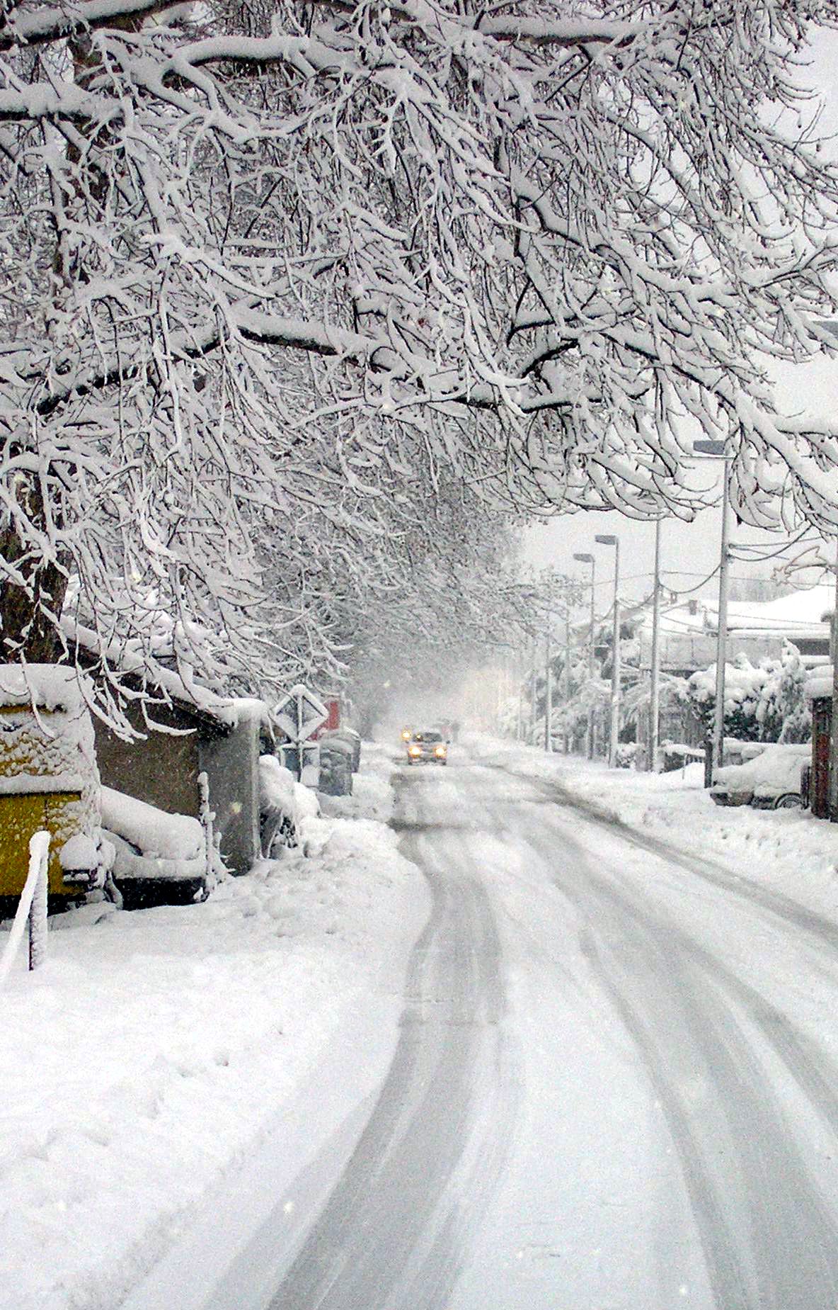 Snow in Metković, 2005