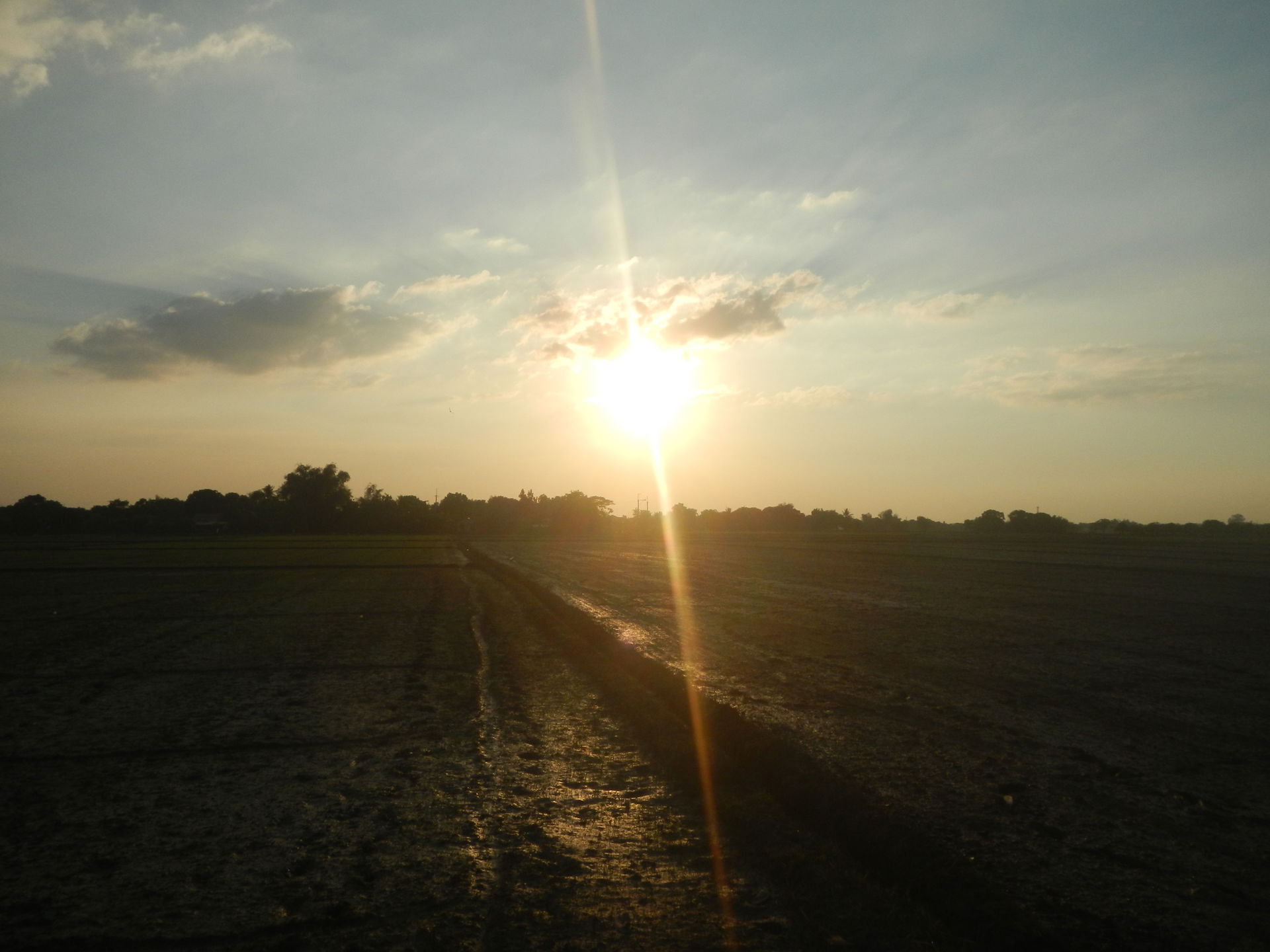 Paddy fields and grasslands in Concepcion, San Simon, Pampanga …