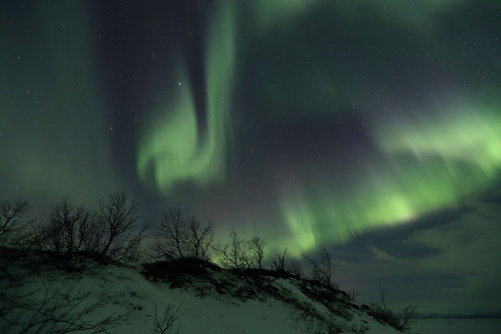 Aurora borealis in Abisko National Park near Torneträsk lake in…