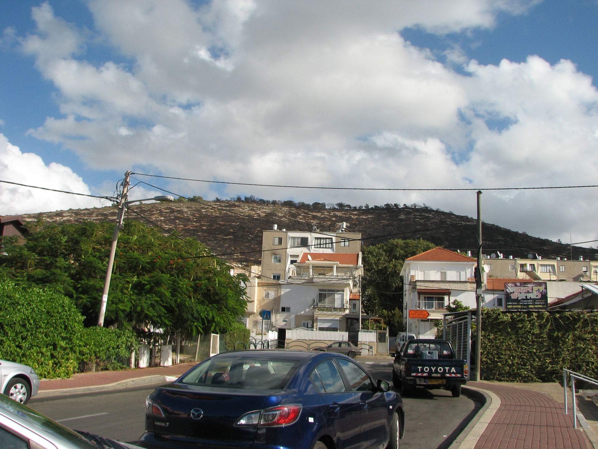 Tirat Carmel, or Tirat HaCarmel (Hebrew: is a city in the Haifa…