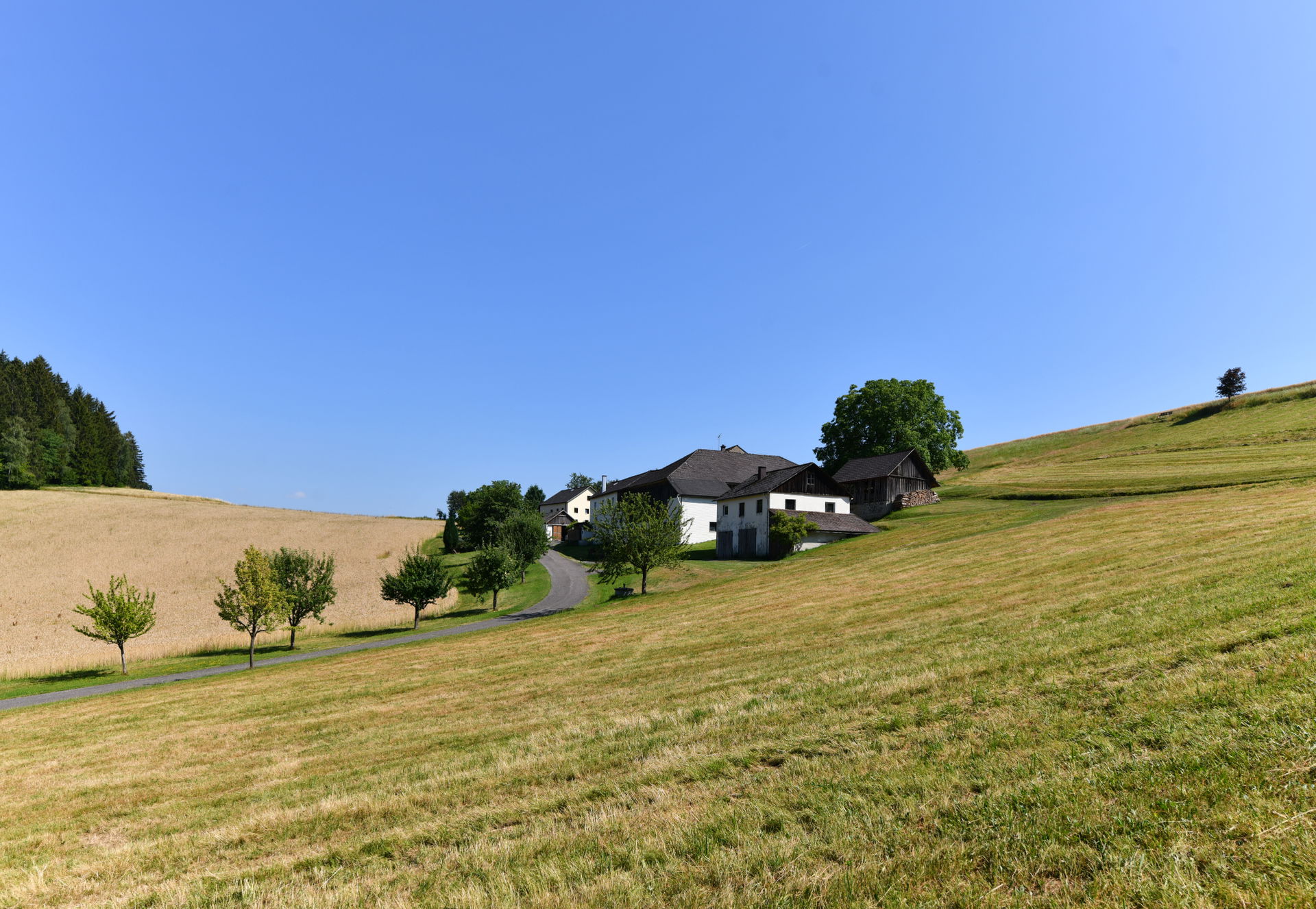 22.07.2022: Wiki takes Böhmerwald; Siedlung Haining in der Geme…
