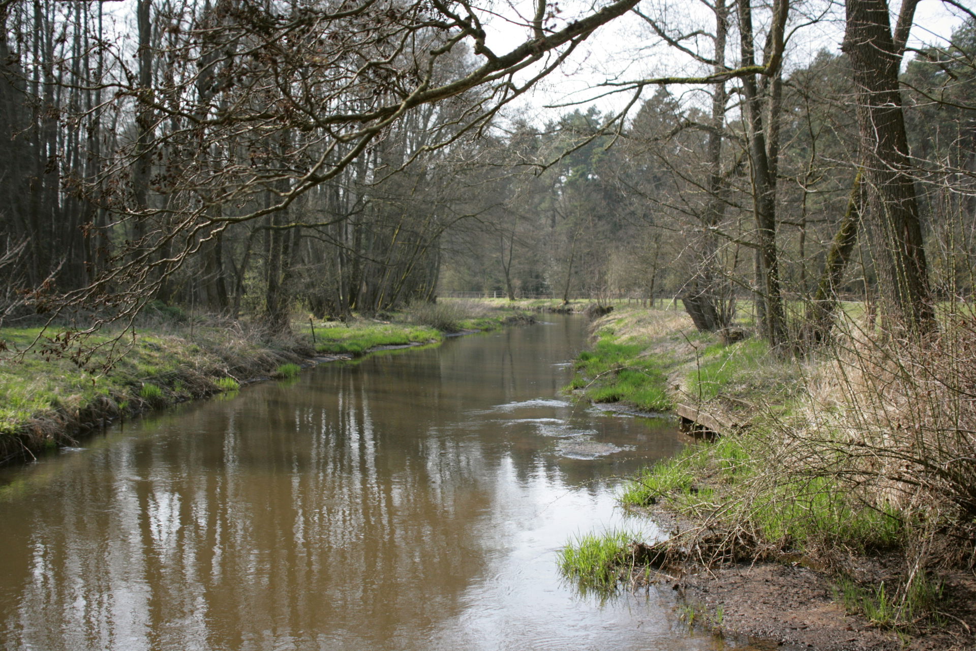 Luhe bei Wohlenbüttel in Oldendorf (Luhe)