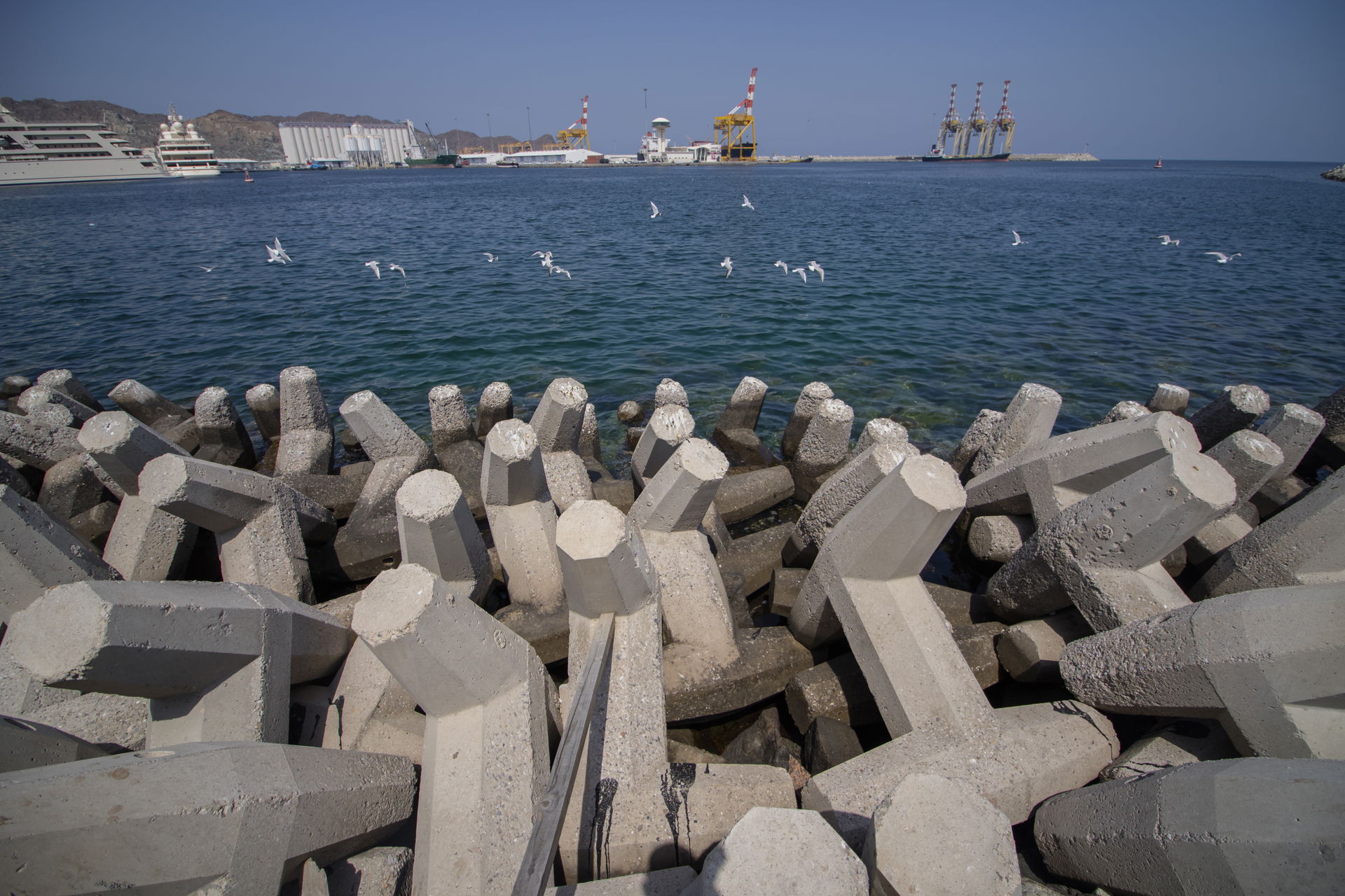 Muscat is the capital and largest metropolitan city of Oman.