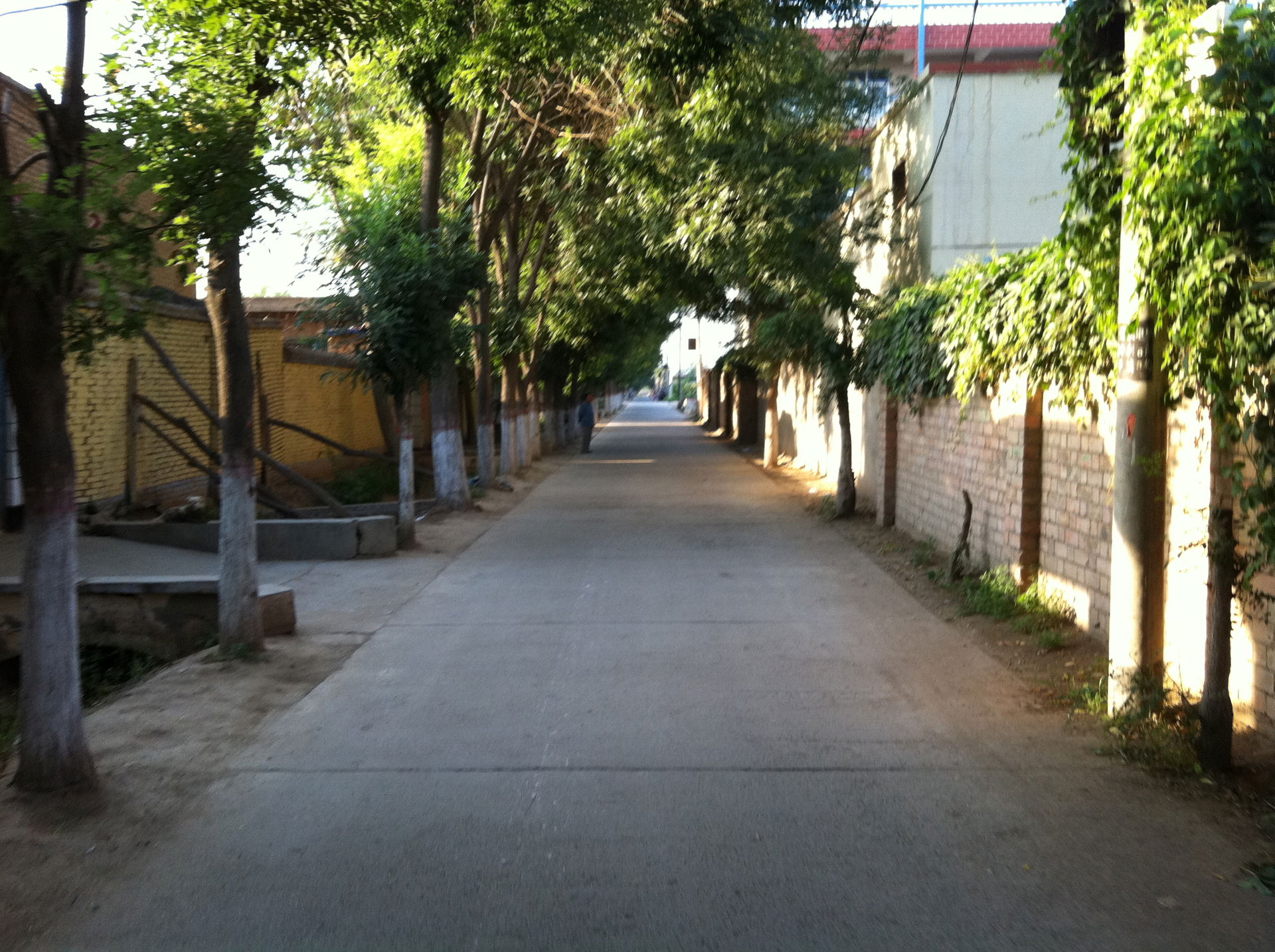 Litong, Wuzhong, Ningxia, China