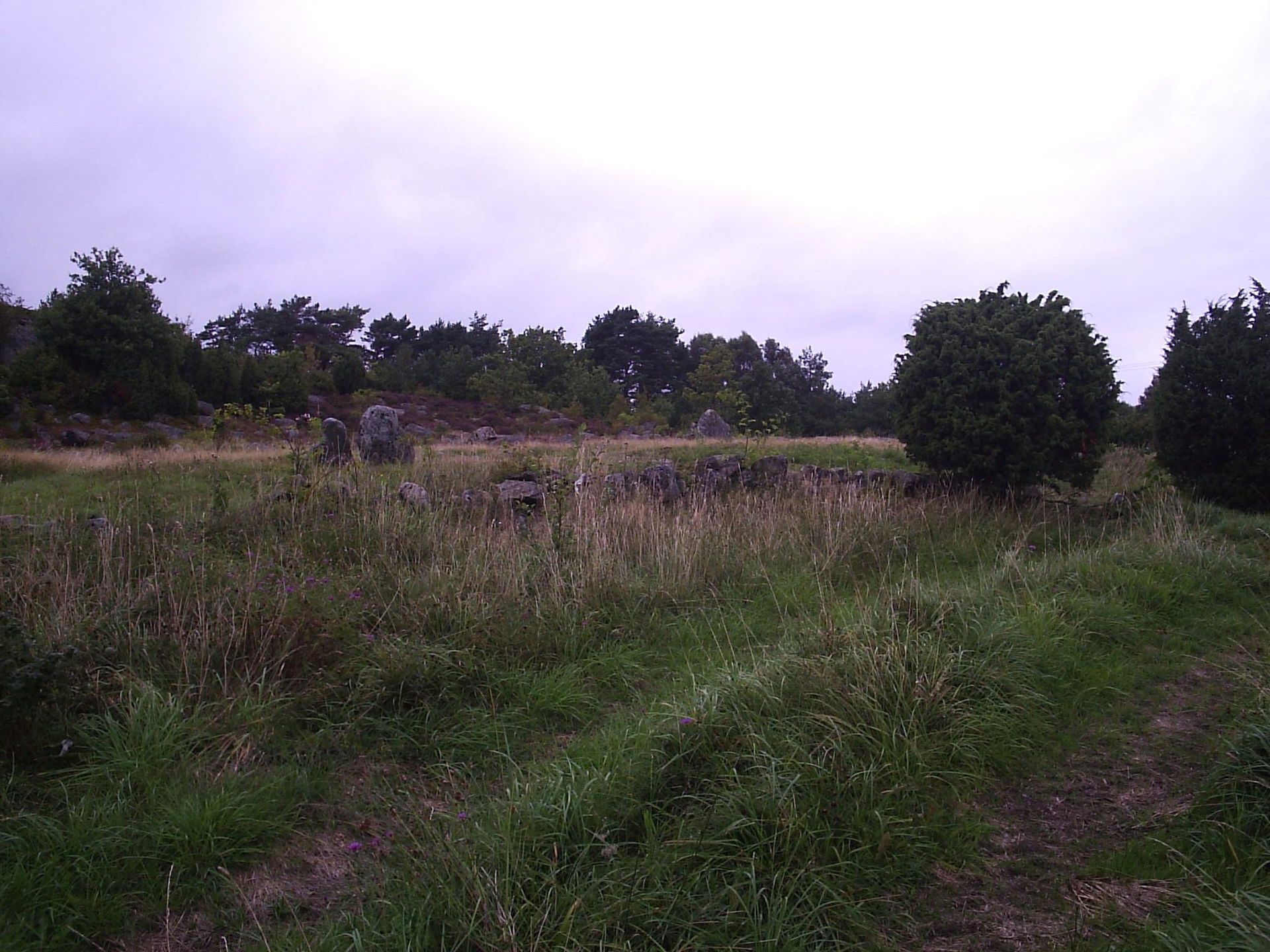 The Iron Age grave field in Pilane, Tjörn.