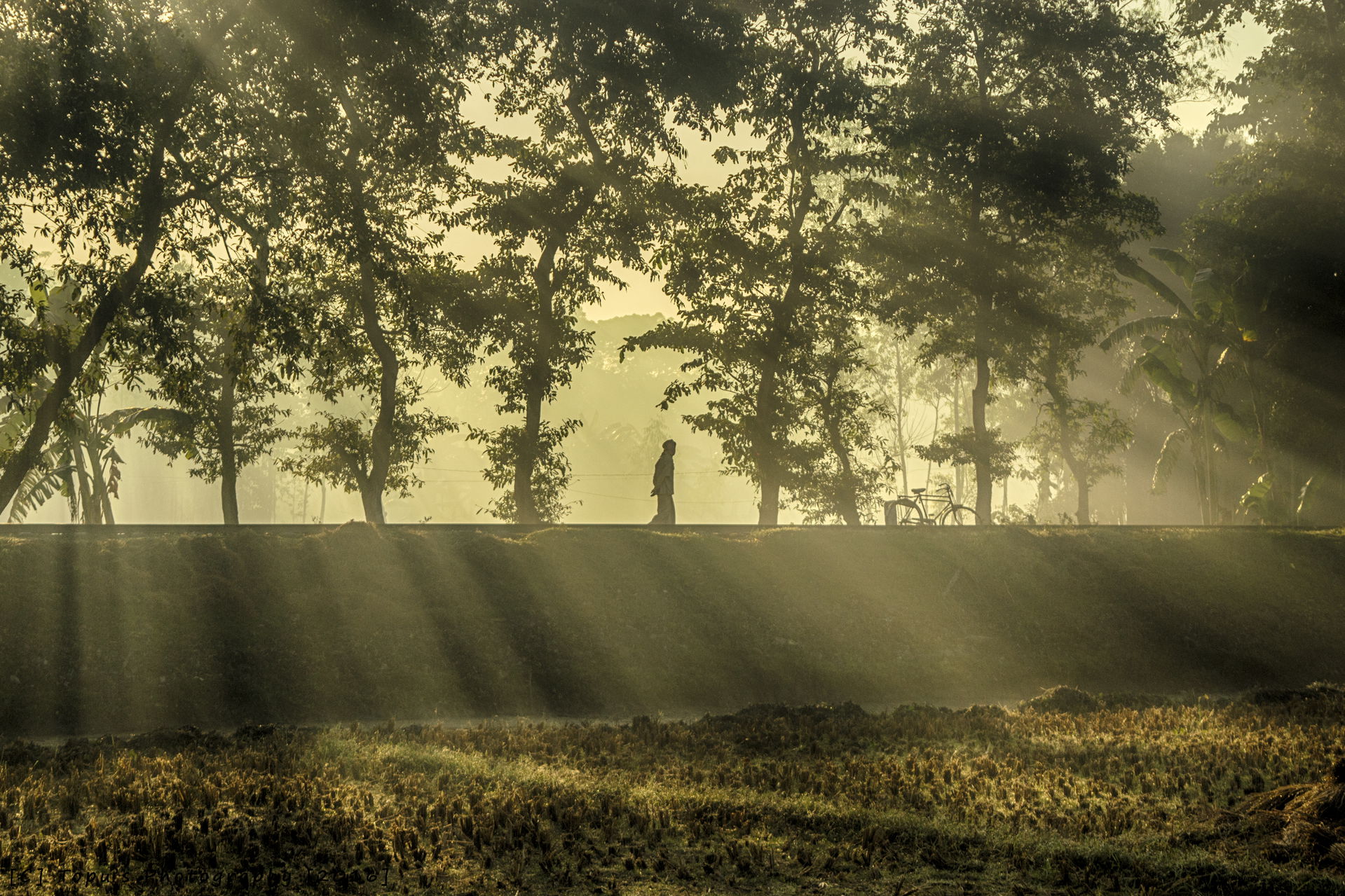 Sarishabari, Jamalpur, Bangladesh