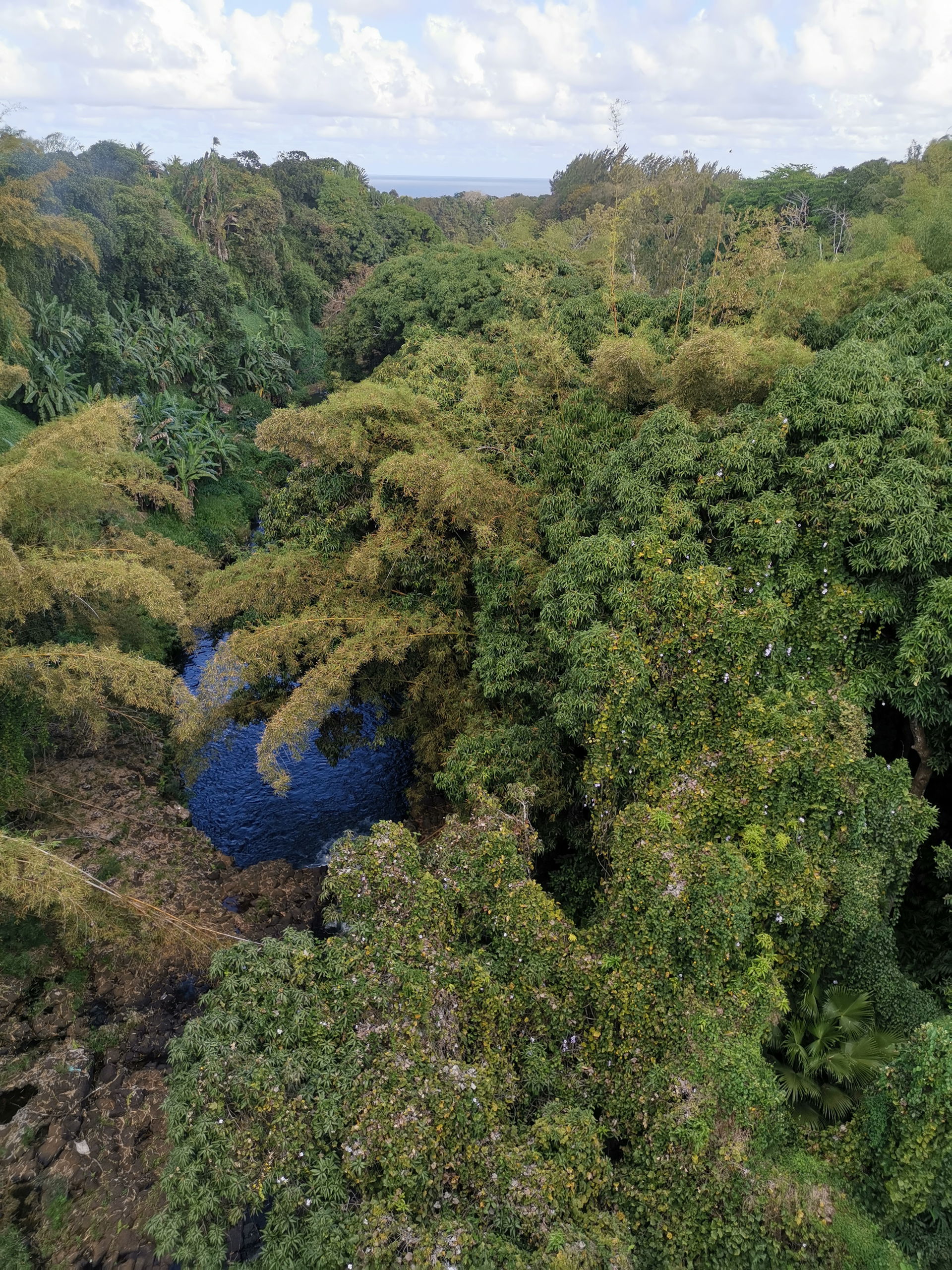 Riviere des Anguilles im Savanne District in Mauritius
