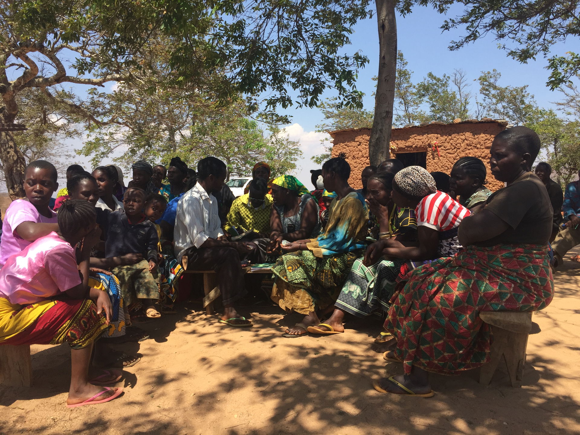 A community savings and credit group meets under a tree outside…