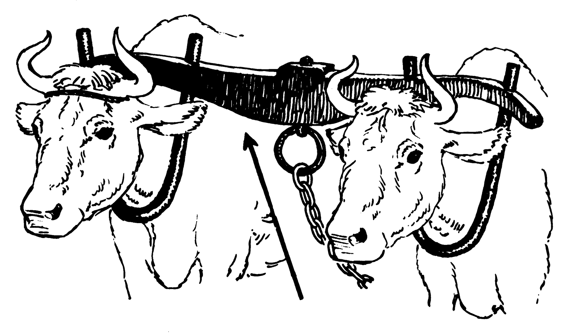 Line art drawing of a yoke