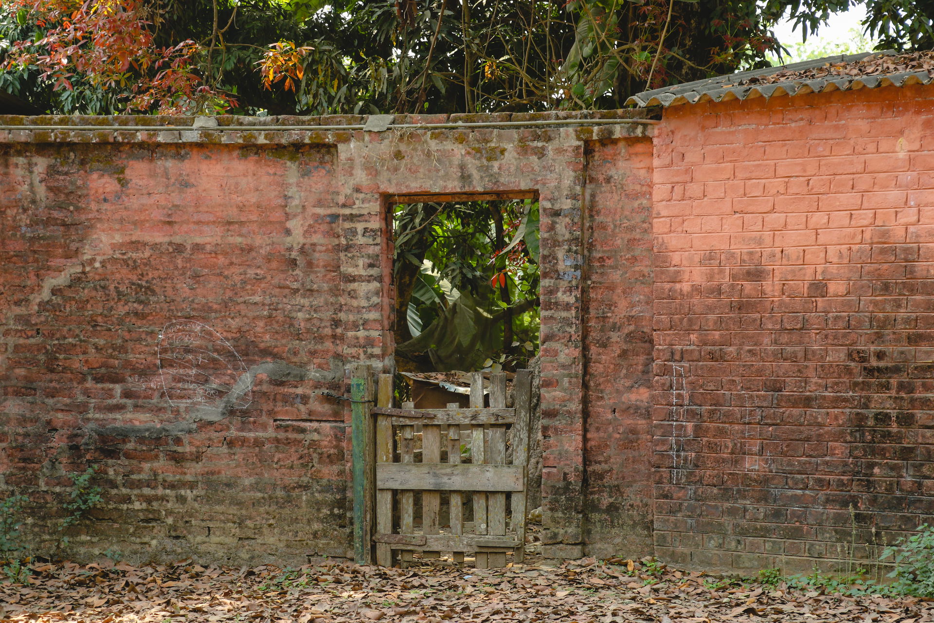 Half Wooden Door, Bhairahawa