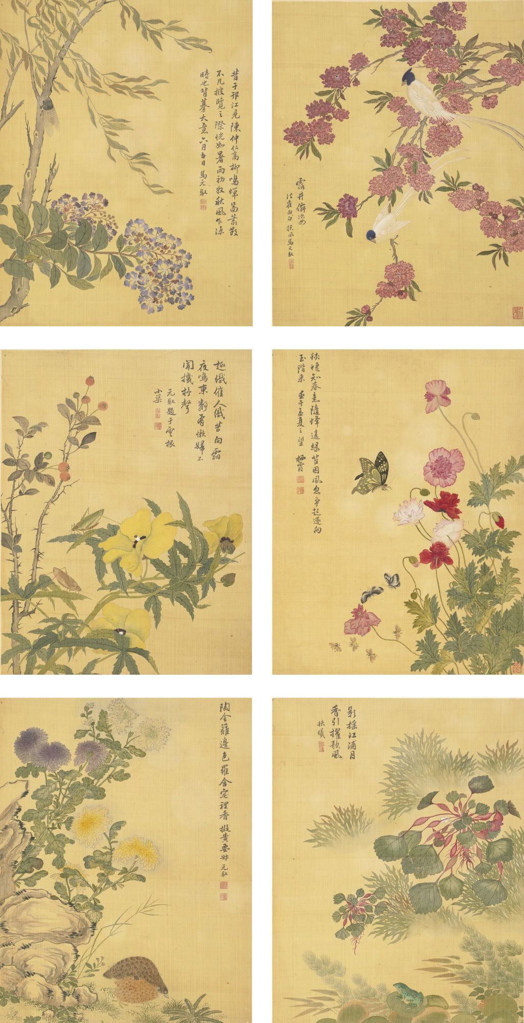 FLOWER AND BIRDS