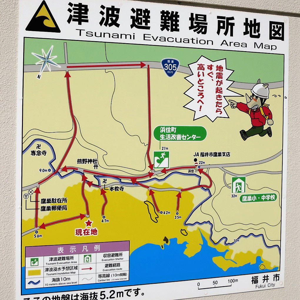 The emergency information is mostly conveyed in visual form, al…