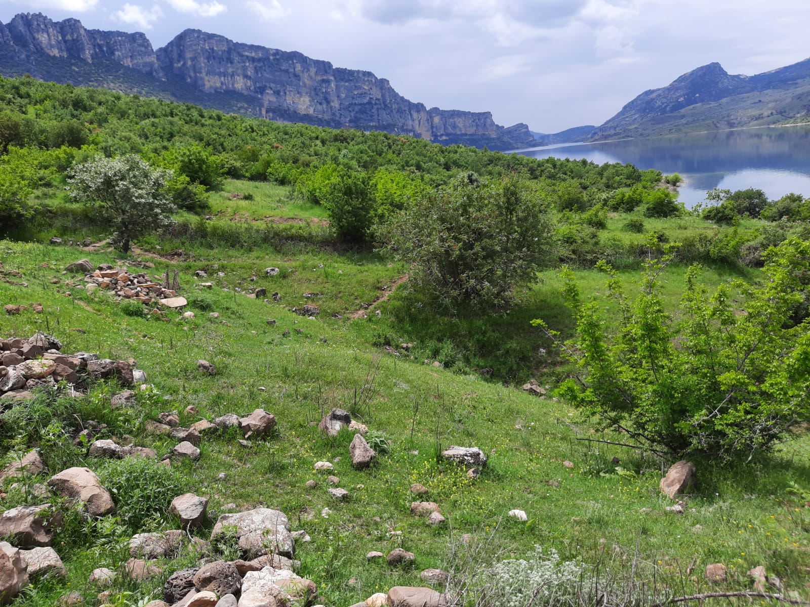 Siverek'ten doğa manzaraları