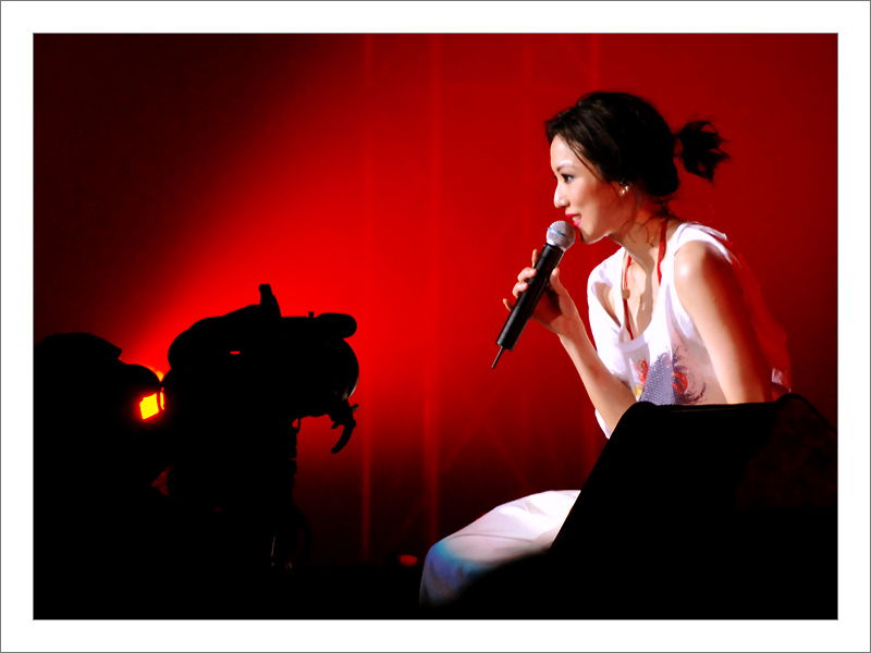 Sammi Cheng in 2007