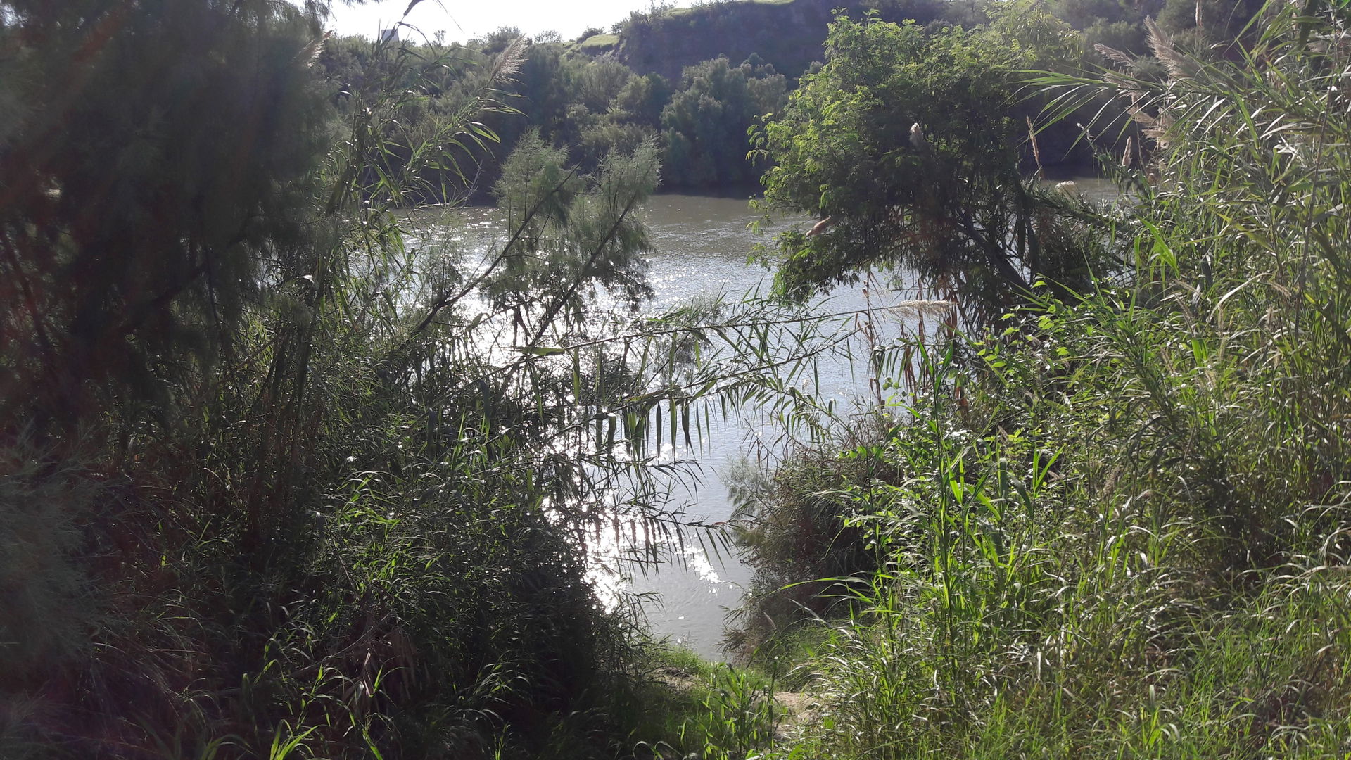 The Rio Grande river serves as the border between the United St…