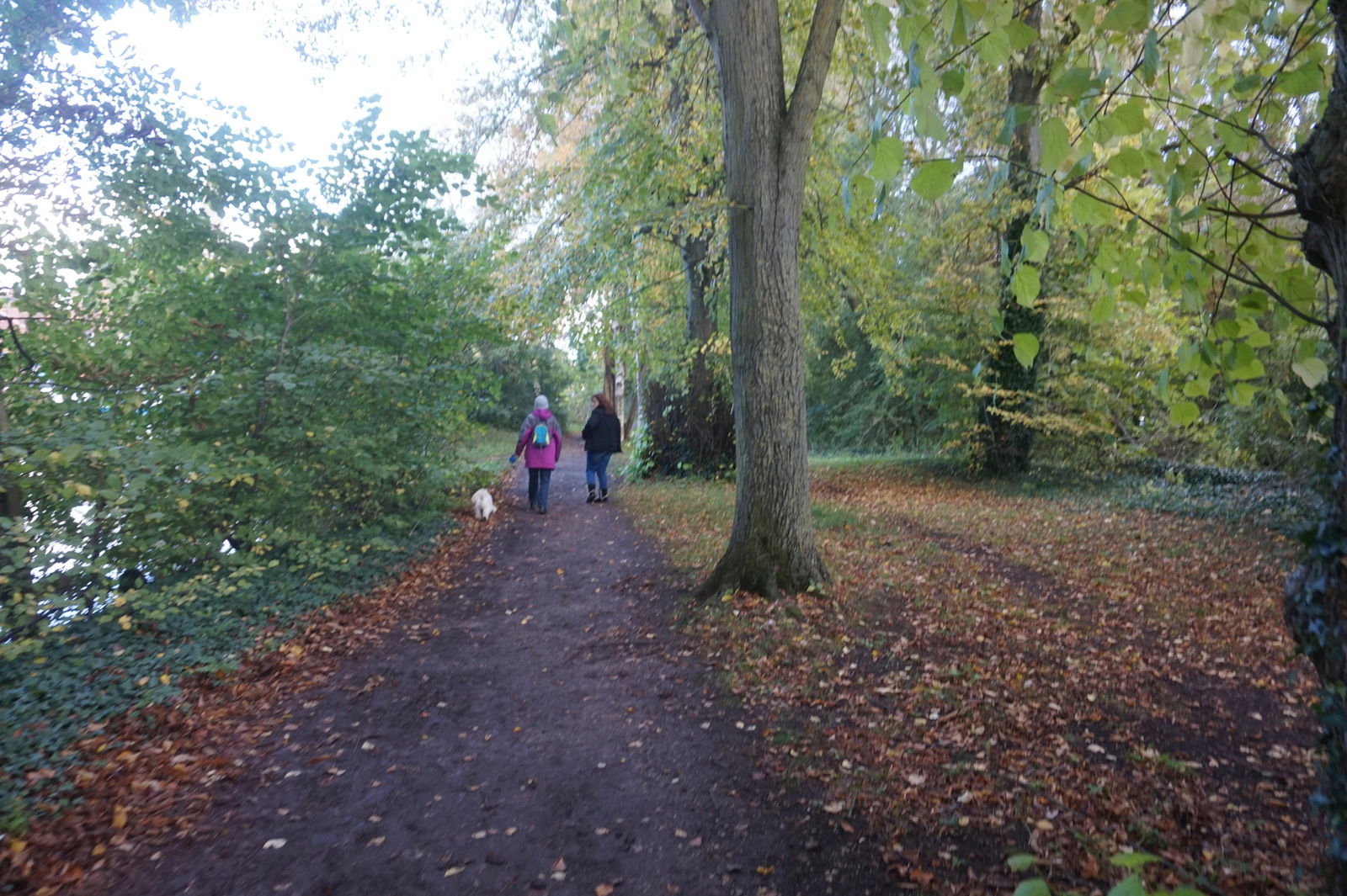 Thames path at Abingdon-on-Thames
