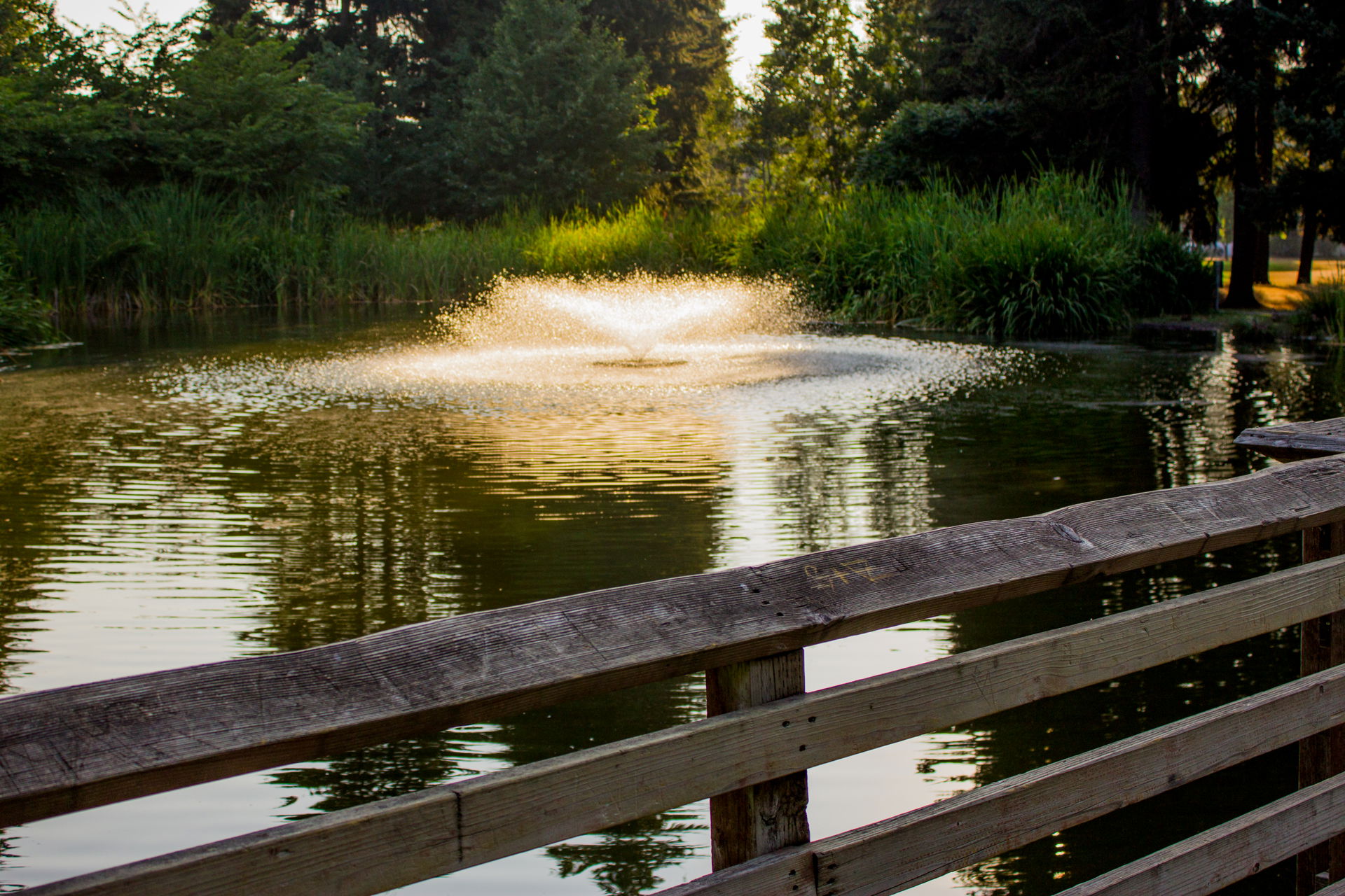 Cochrane Memorial Park is a water reclamation facility and muni…