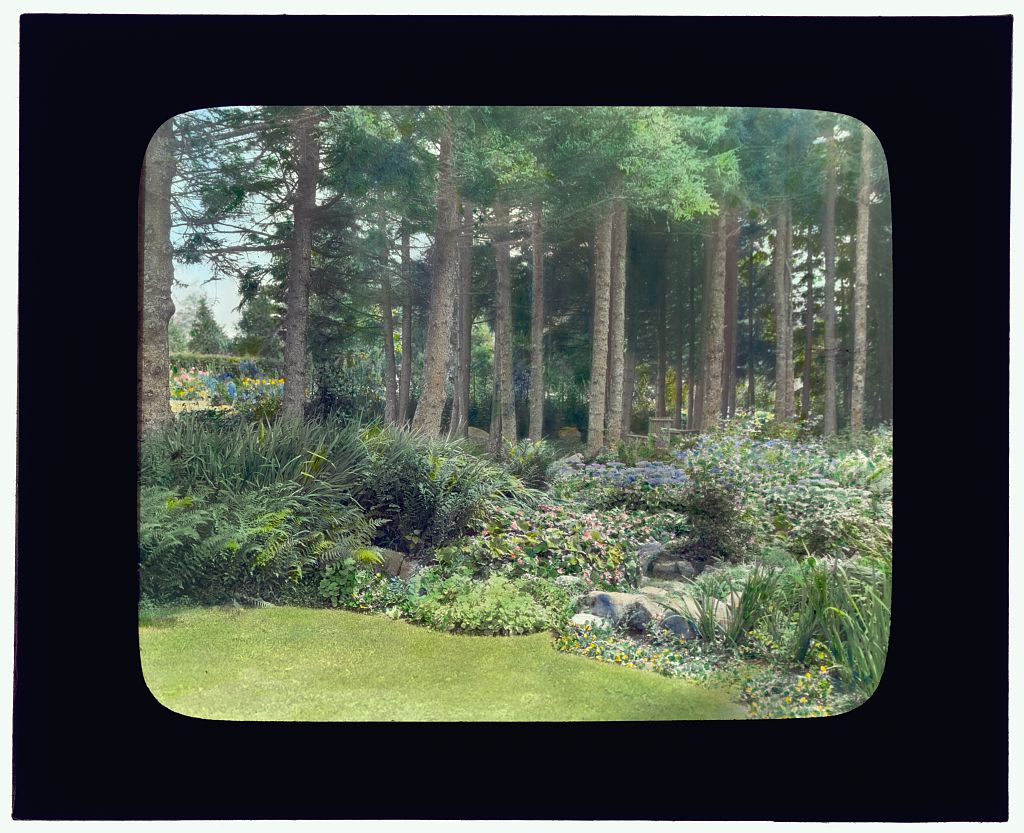Johnston, Frances Benjamin,, 1864-1952,, photographer.
["Thorne…