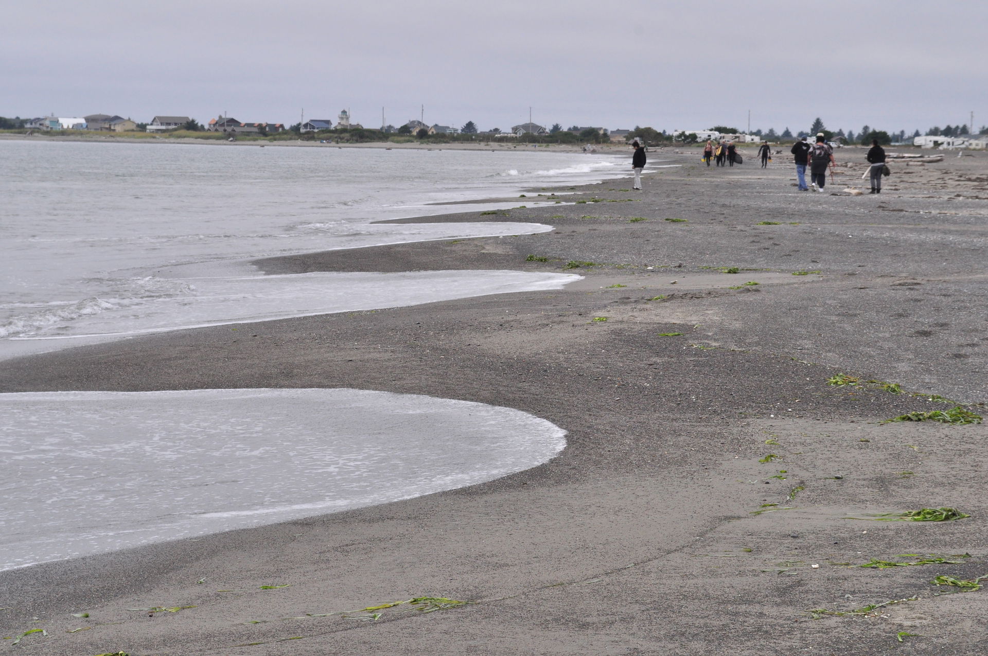 Public beach, Ocean Shores, Washington, on Grays Harbor.
