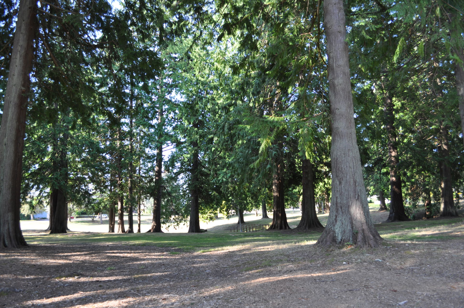 Sam Benn Park, Aberdeen, Washington, USA.