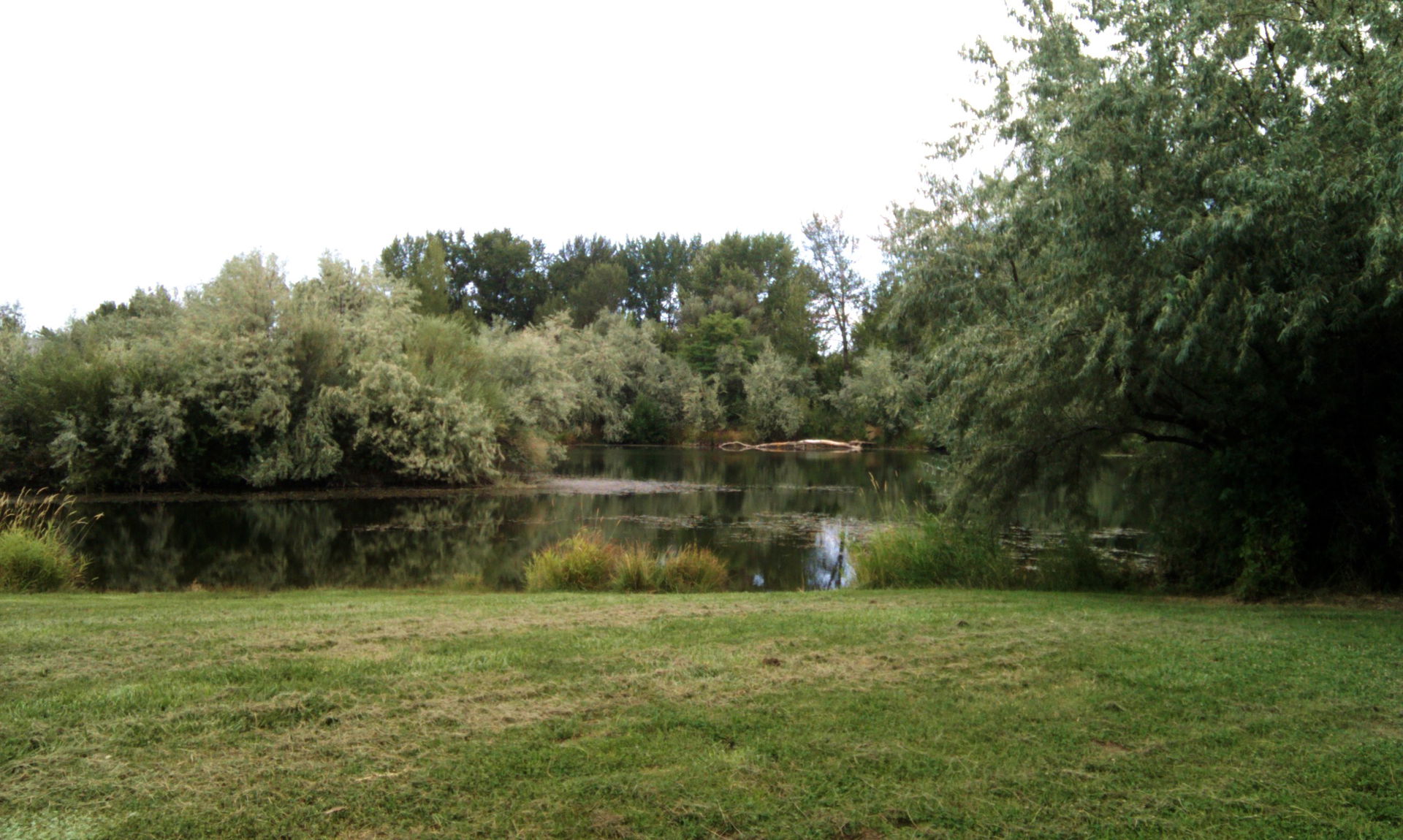 A pond at the Union Gap trail head of the Yakima Greenway