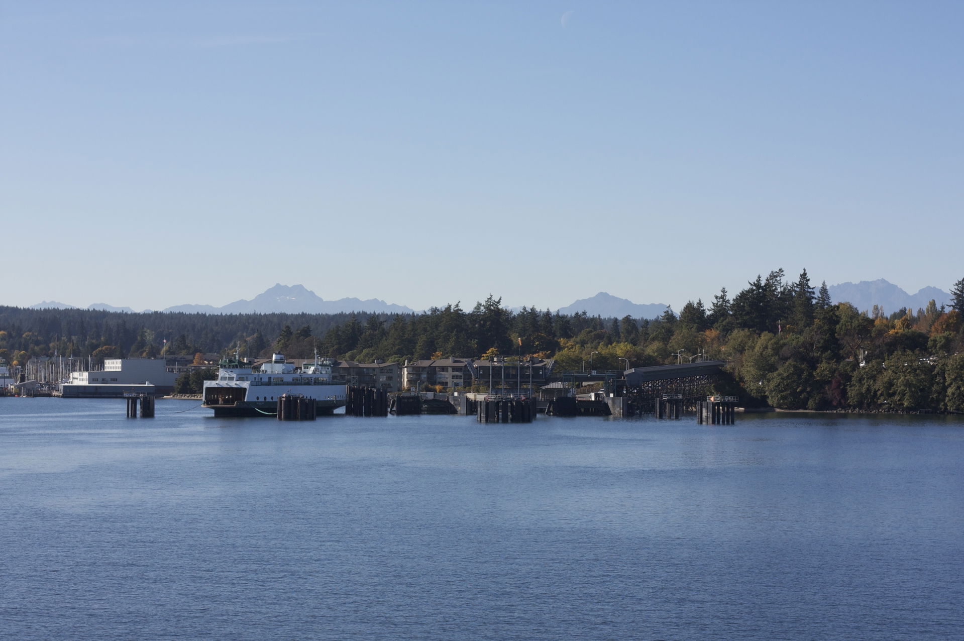 Bainbridge Island, viewed from the ferry approaching Eagle Harb…