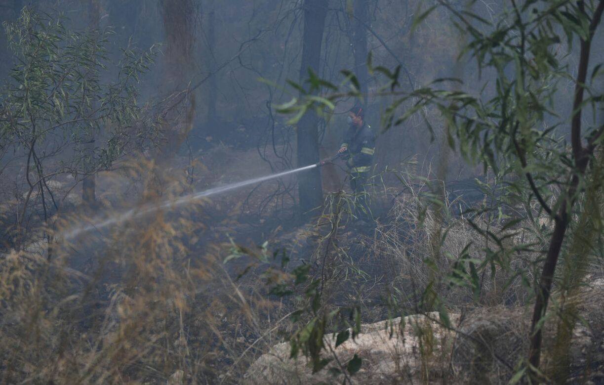 November 2016 Israel fires
