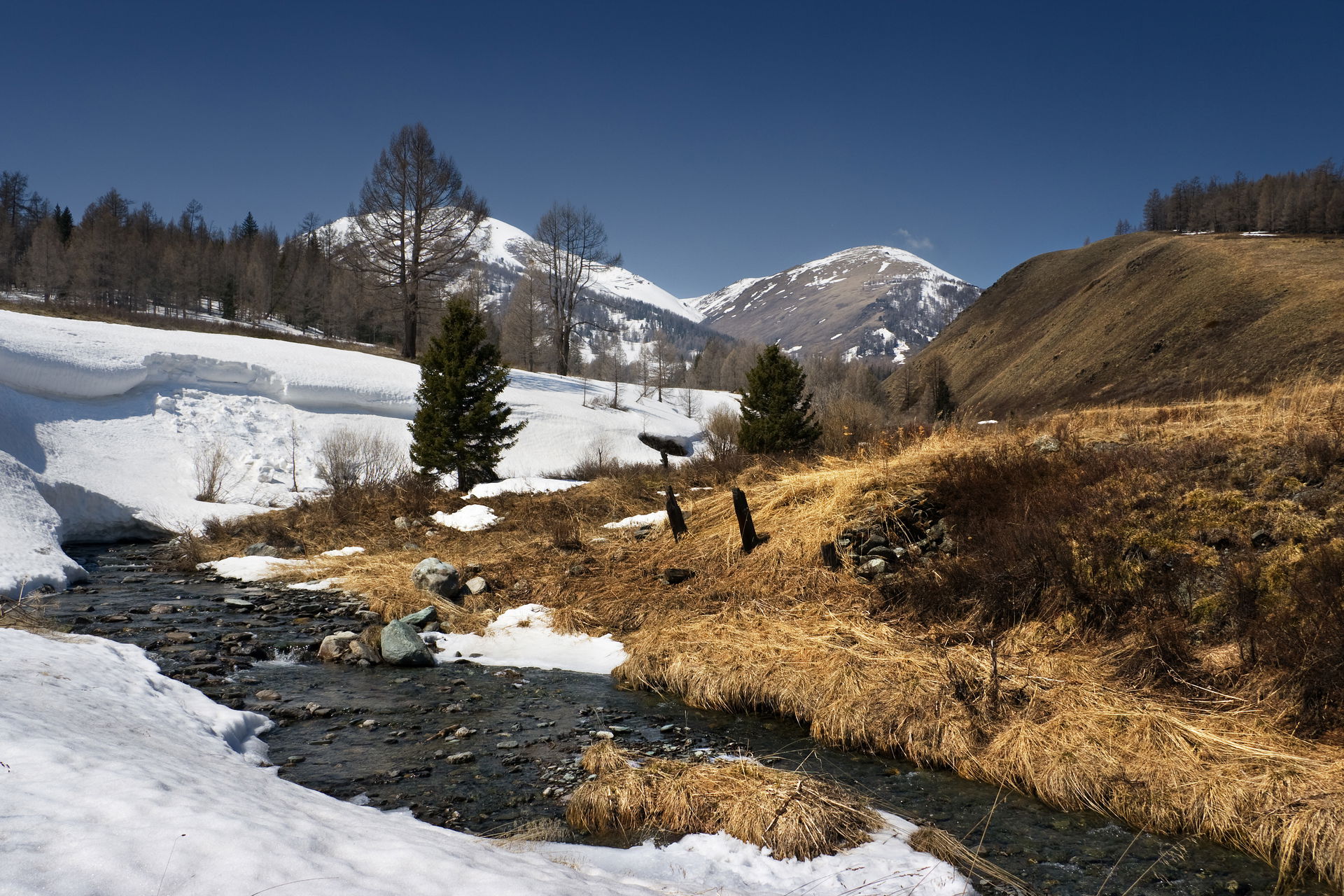 Altay mountains, Kazakhstan Markakol reserve, Kara-Koba river