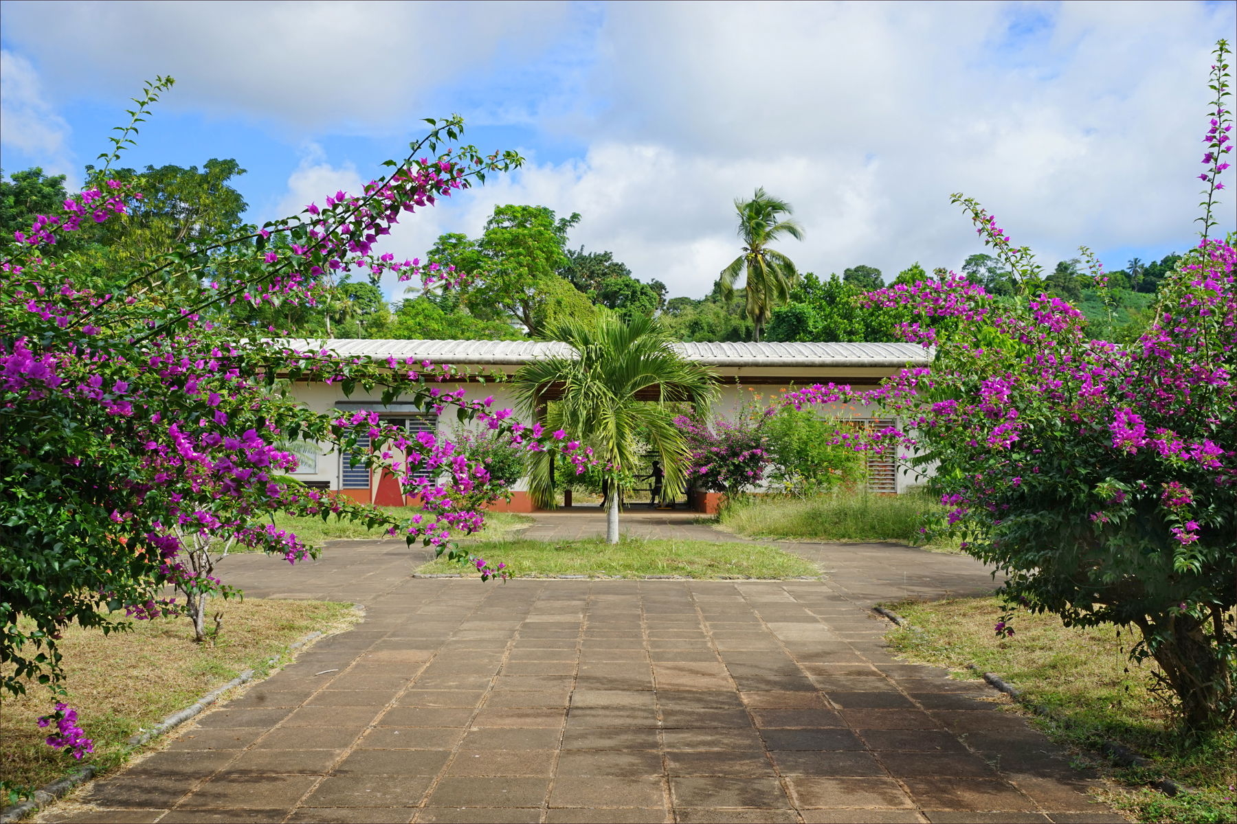 La cour supérieure du CUFR
Le Centre universitaire de Mayotte e…