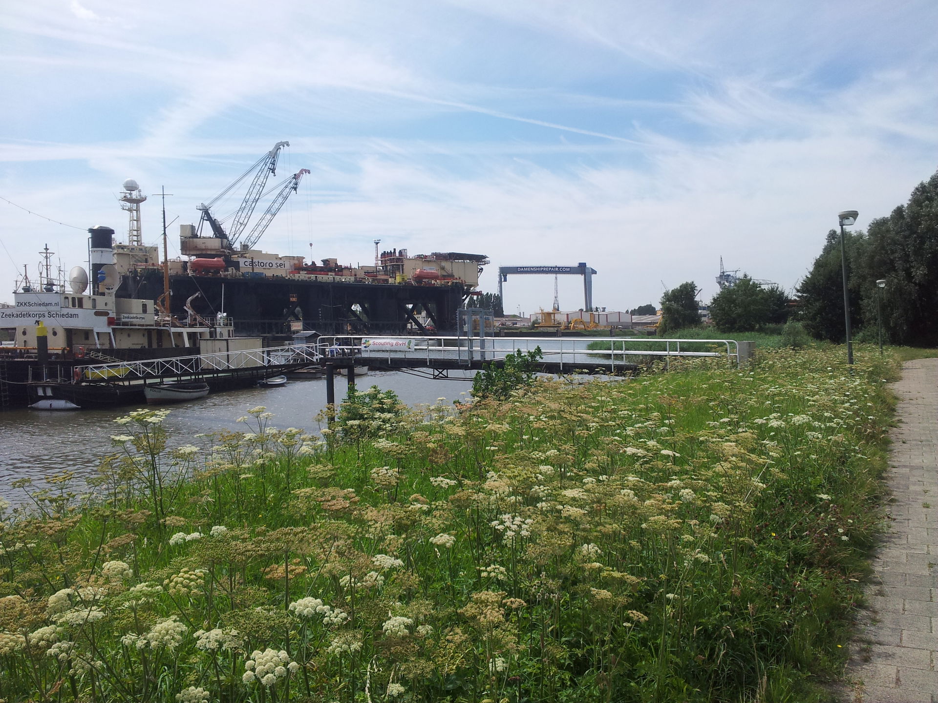 Wilhelminahaven Schiedam