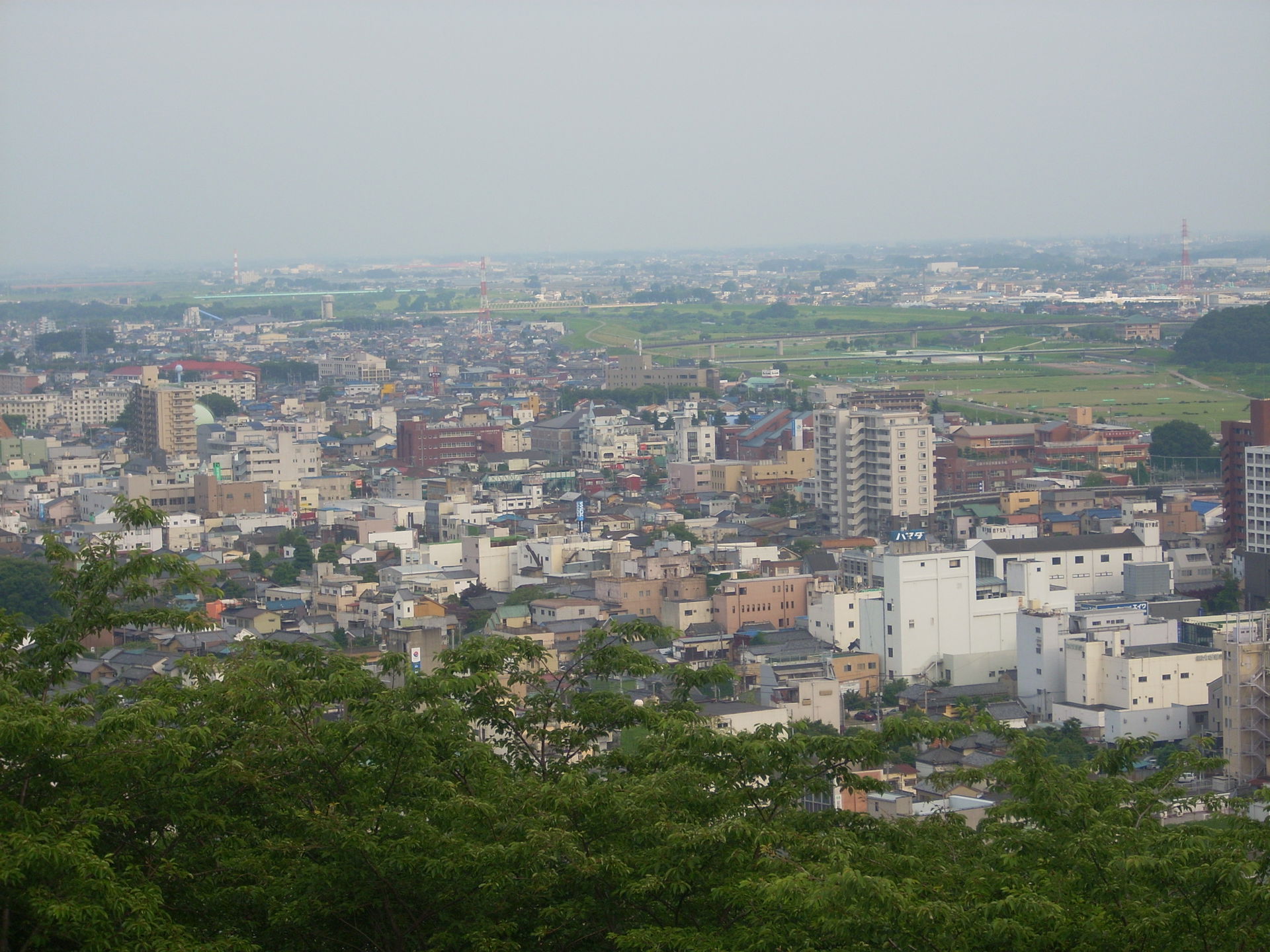 View of Ashikaga from nearby Mountain