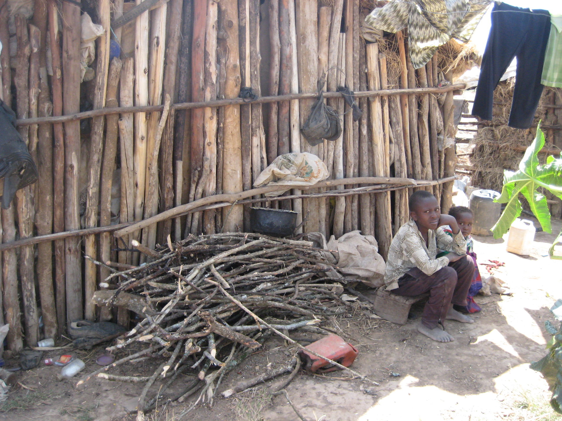 Essential wood for cooking, gathered from area 10 km away, Soli…