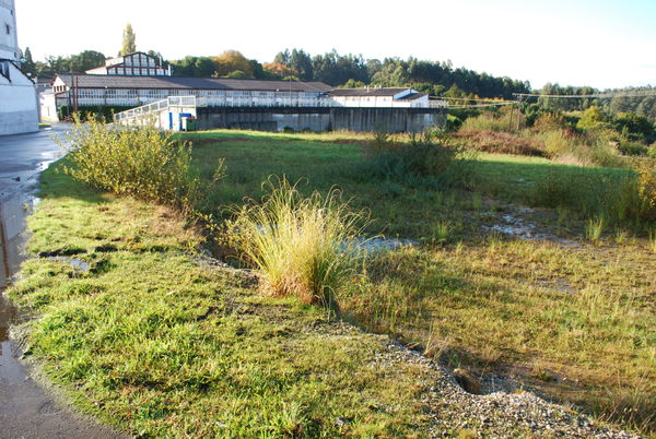 Sada