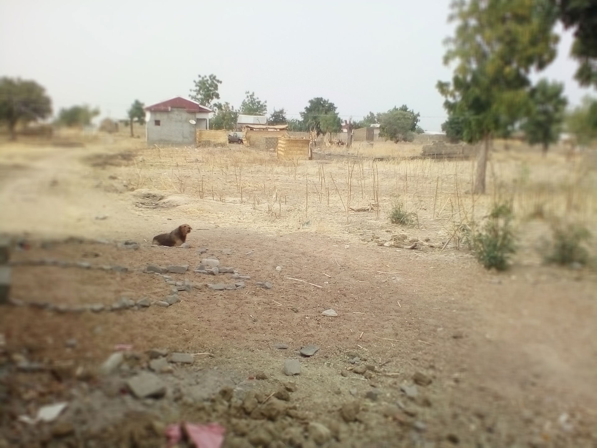 Kaele dans l'extrême nord du Cameroun